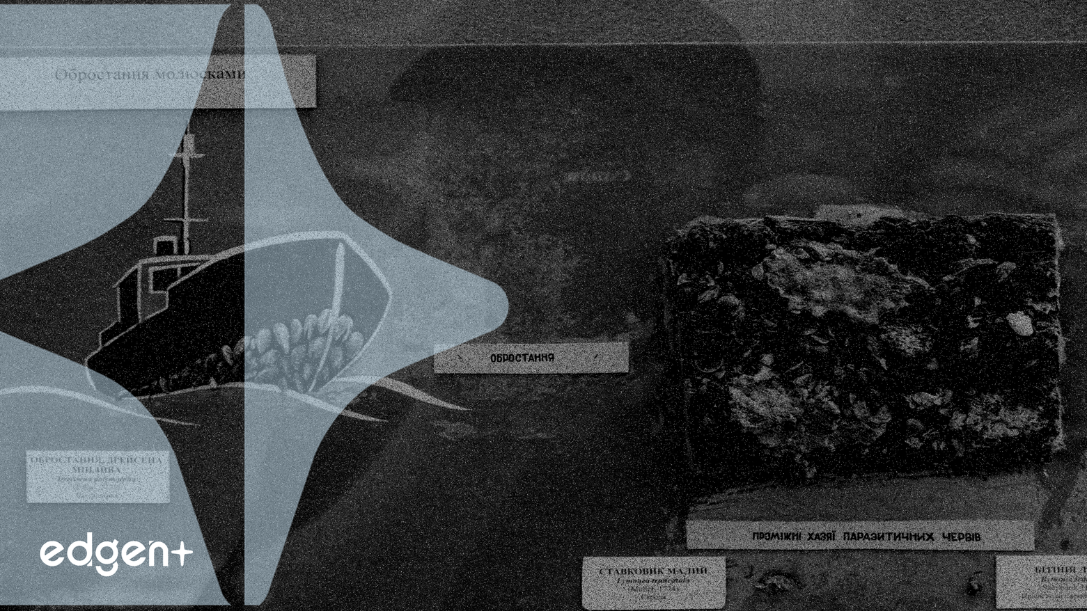 Torr Metals、コロスプロジェクトでの2,100メートル掘削プログラムを完了、主要な銅・金異常を標的