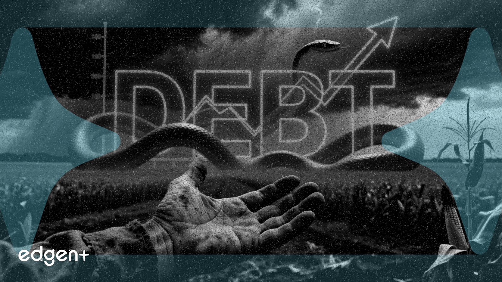 Les bénéfices agricoles américains disparaissent alors que la dette atteint un record de 625 milliards de dollars