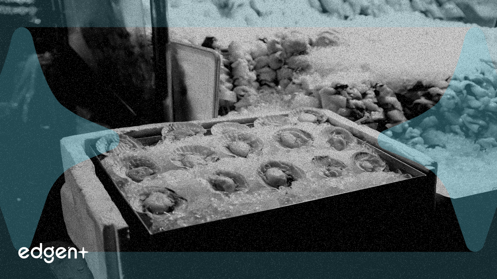 XRP có 41.5% nguồn cung dưới nước giữa dòng tiền ETF đáng kể