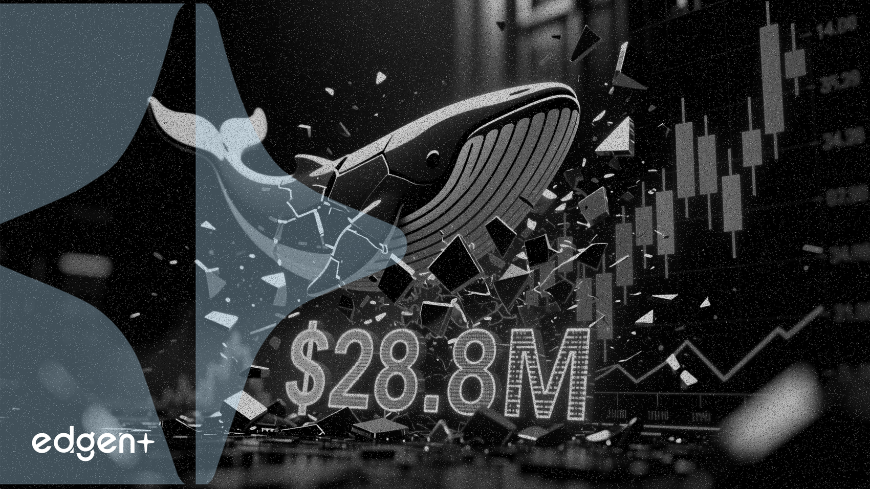 Criptoballena Huang Licheng Liquidada; Pérdidas Superan los 28,8 Millones de Dólares