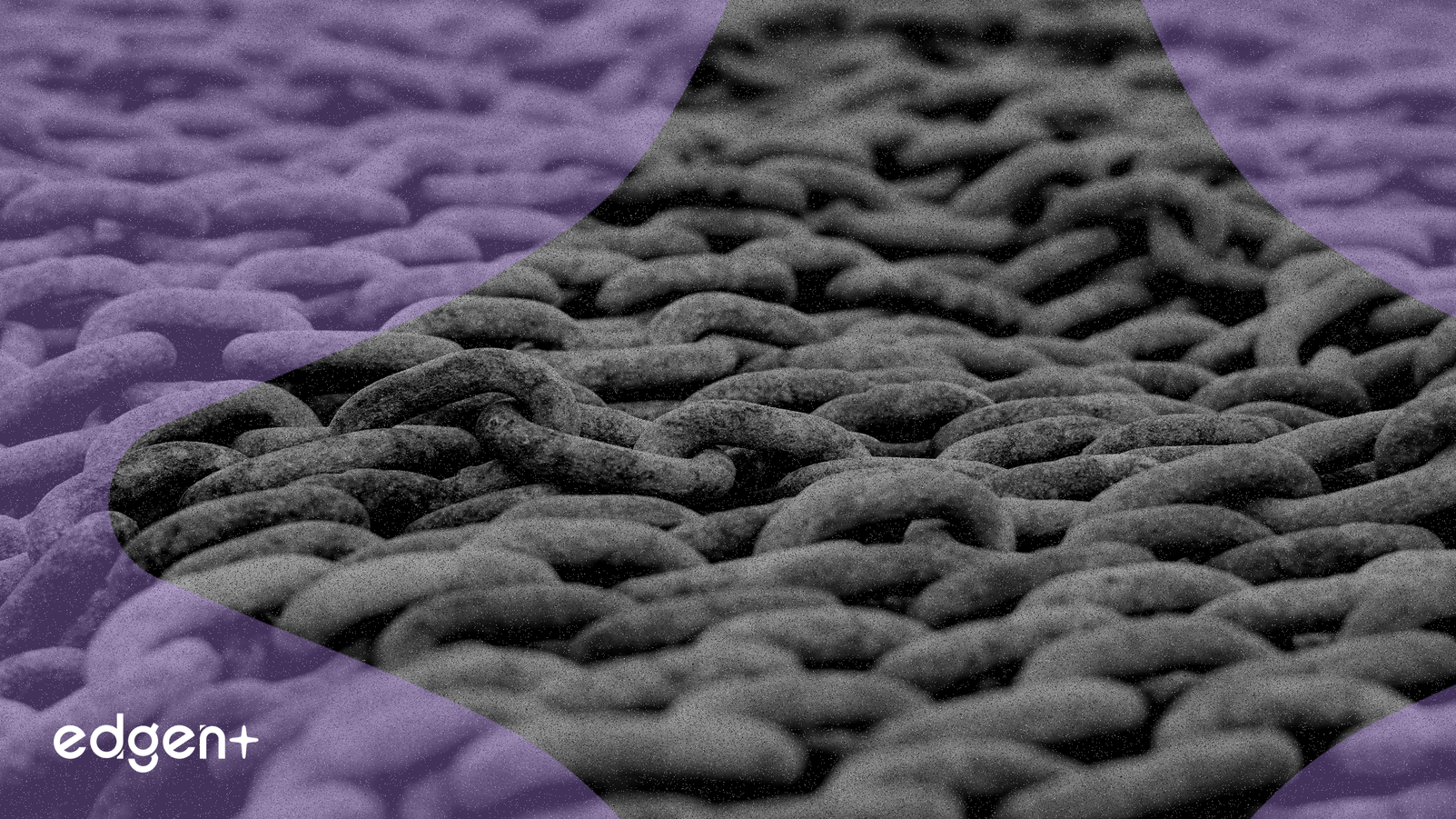 Berachain suspend son réseau suite à l'exploit Balancer de 128 millions de dollars et lance un hard fork d'urgence