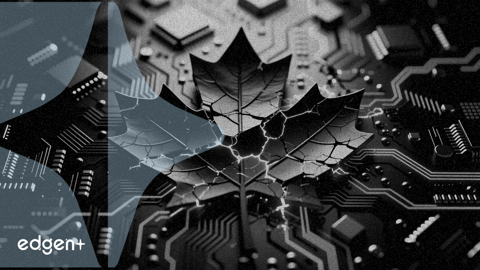 La Banque du Canada alerte sur le risque systémique du crédit privé