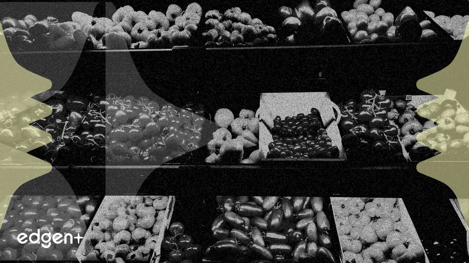 BellRing Brands enfrenta caída del 45% en EPS y calificación de 'Venta Fuerte'