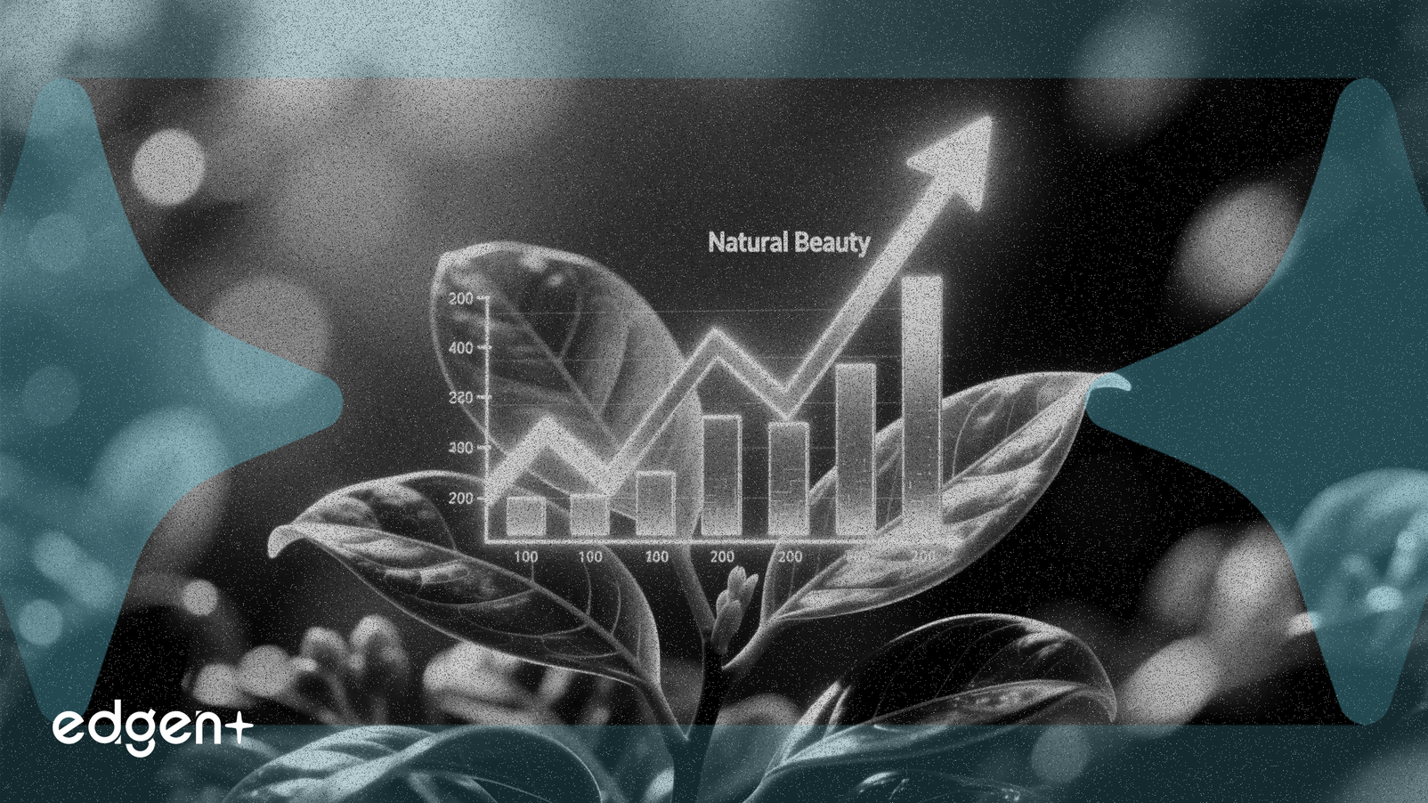 Natural Beauty signale un redressement de ses bénéfices grâce à une croissance de 53 % de ses revenus