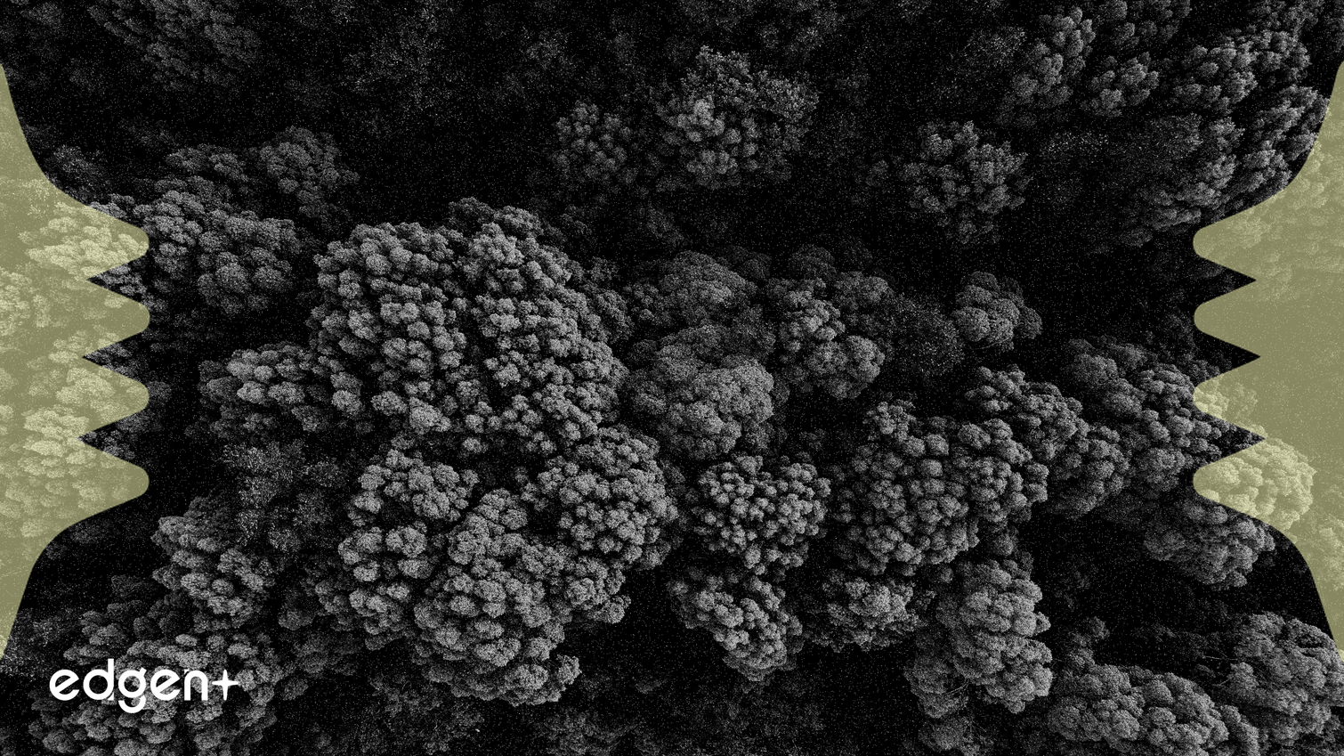 BASF, Hidrosülfit İşinden Çıkarak Portföyünü Sadeleştirecek