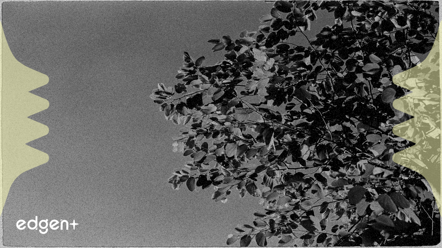 Tree.com (TREE) Dépasse les Estimations de Bénéfices et de Revenus du T3