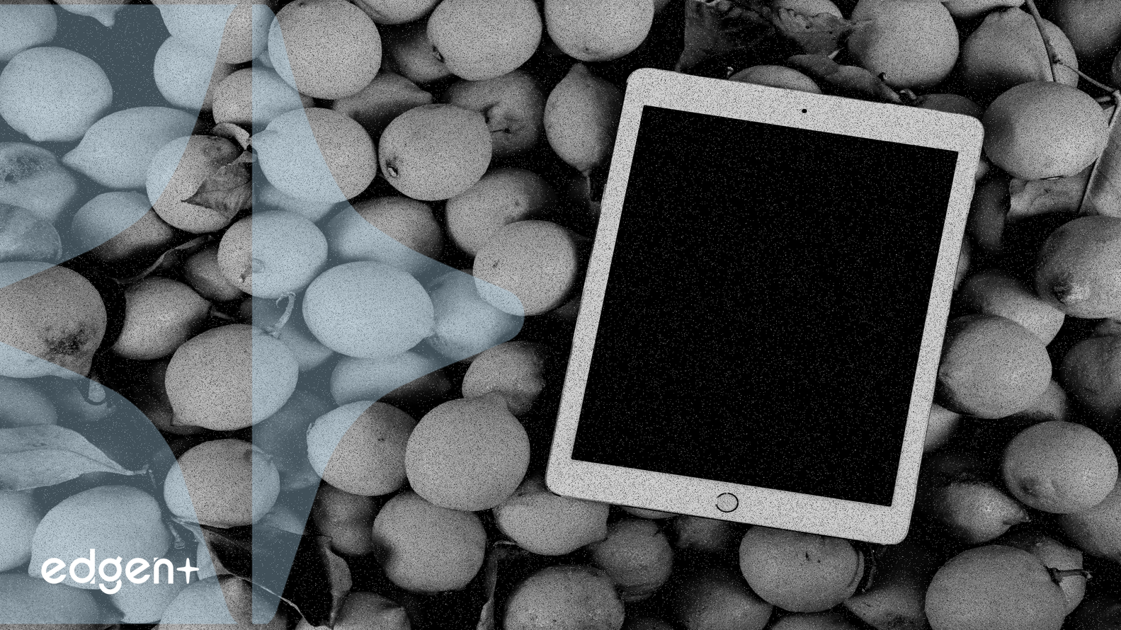 Le Launchpool de jetons MON de Bitget génère jusqu'à 282% d'APR, attirant un intérêt significatif des investisseurs