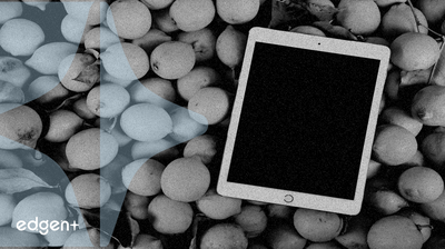 Bitget MON 代幣 Launchpool 產生高達 282% 年化收益率,吸引大量投資者關注