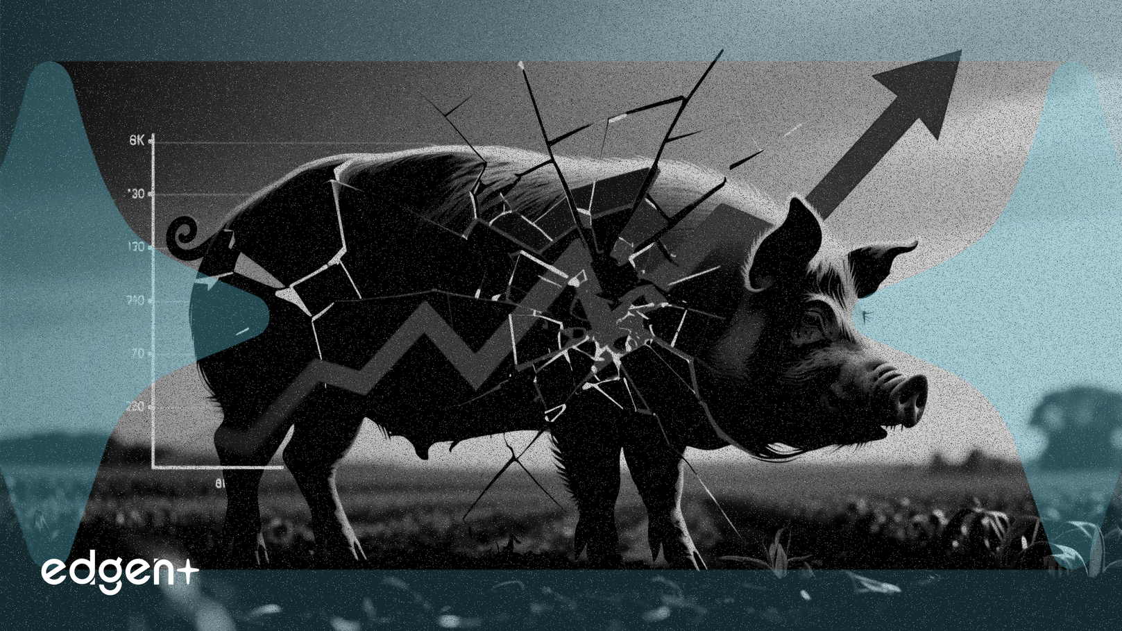 Le bénéfice de Muyuan Foods devrait chuter de 20% en raison de la faiblesse des prix du porc