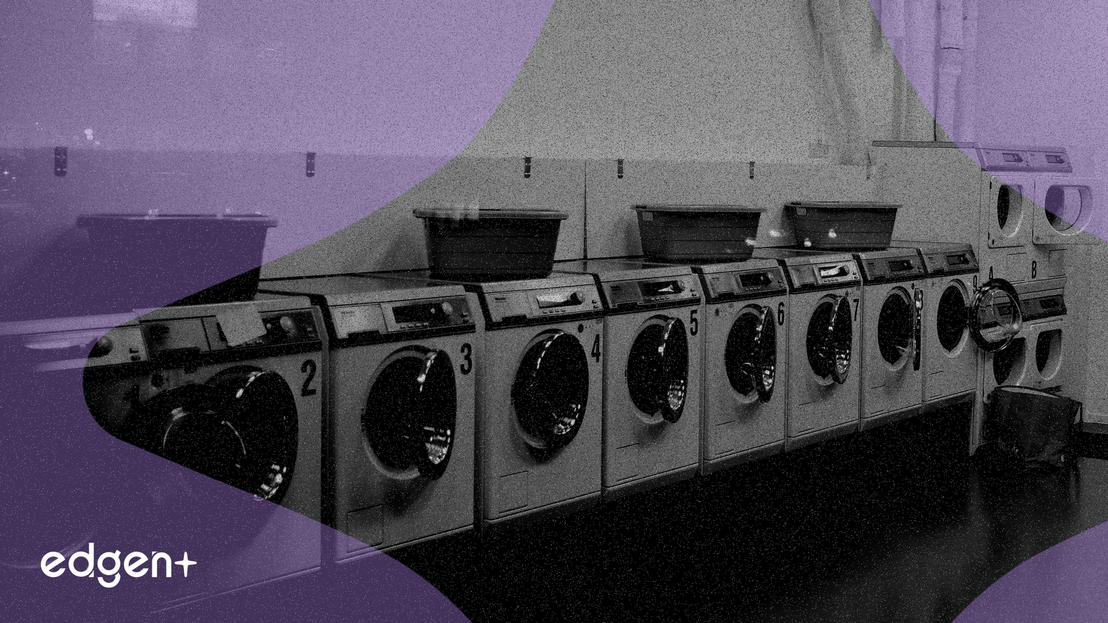 Alliance Laundry Holdings Debuts on NYSE, Shares Advance 13%