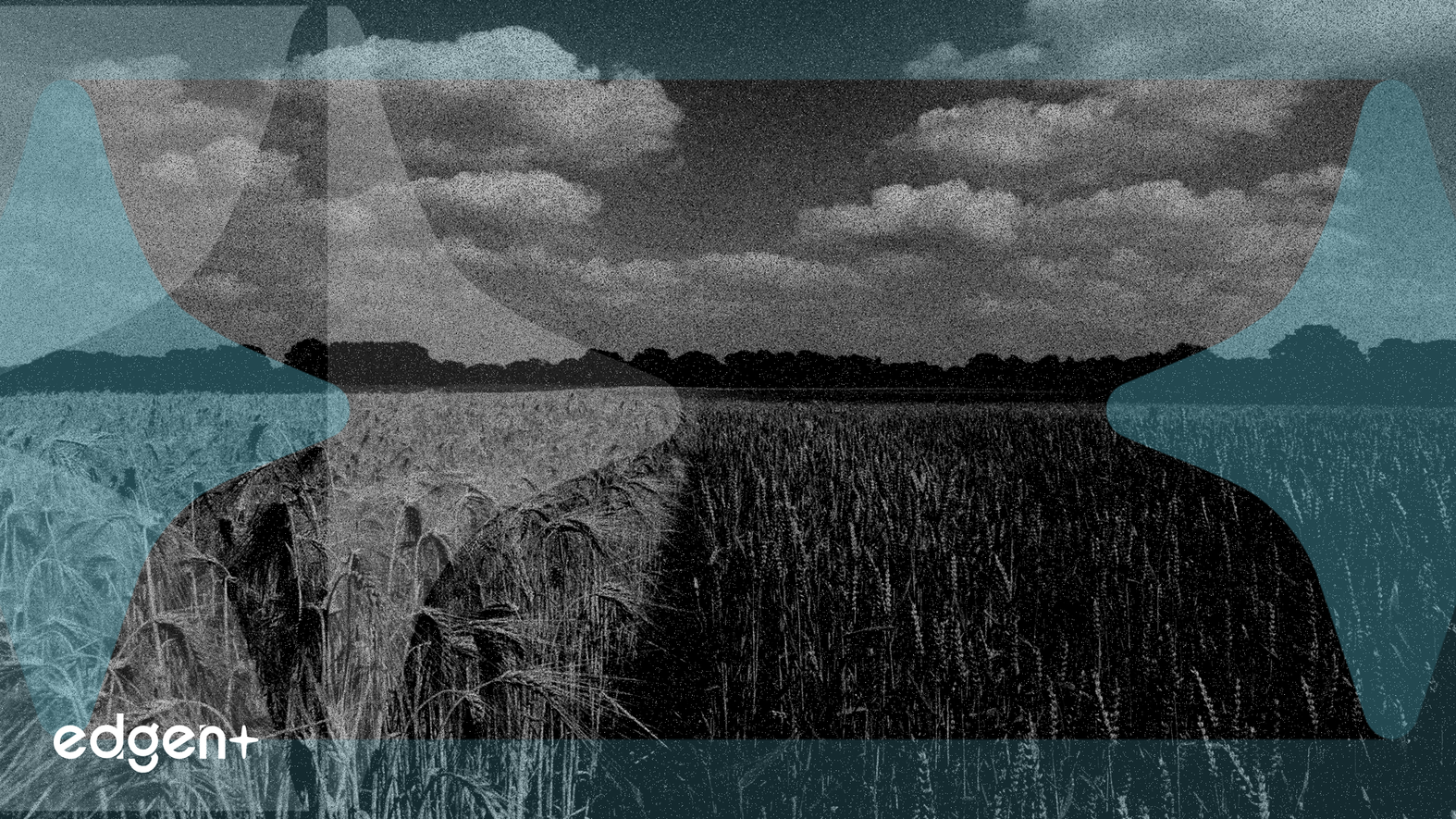 科迪華憑藉穩健增長將息稅前利潤率提升至15%