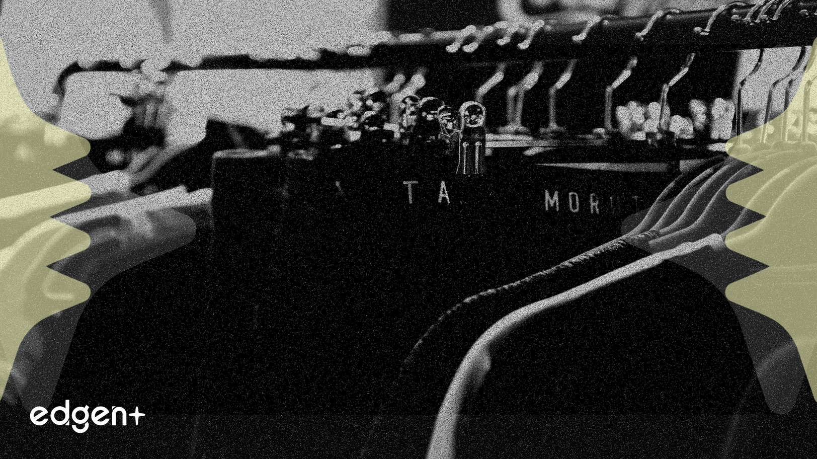 Dillard's Satışları %3 Arttı, Dijital Strateji Mağaza Durgunluğunu Telafi Ediyor