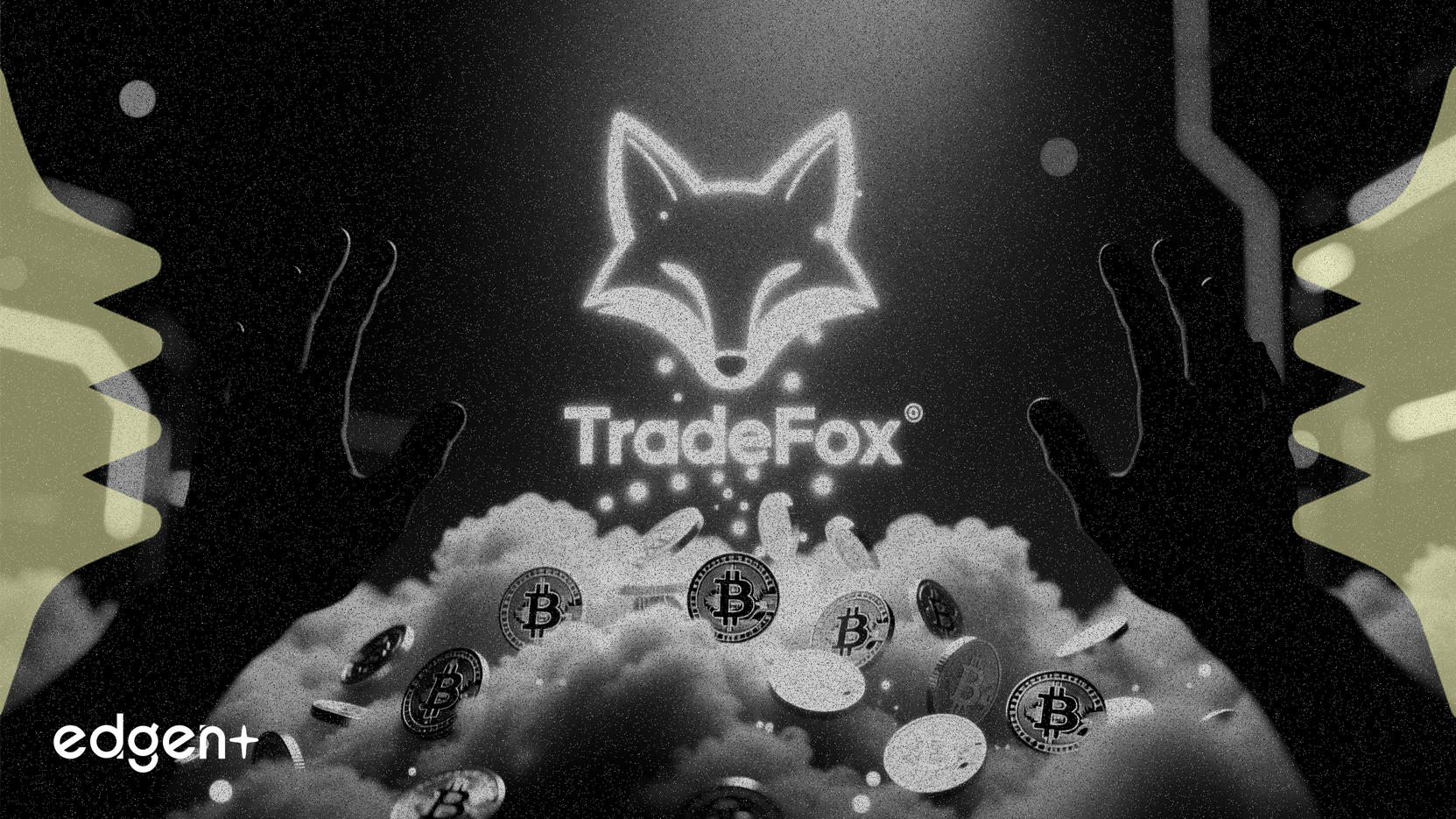TradeFox insinúa un sistema de puntos, avivando la especulación sobre un airdrop