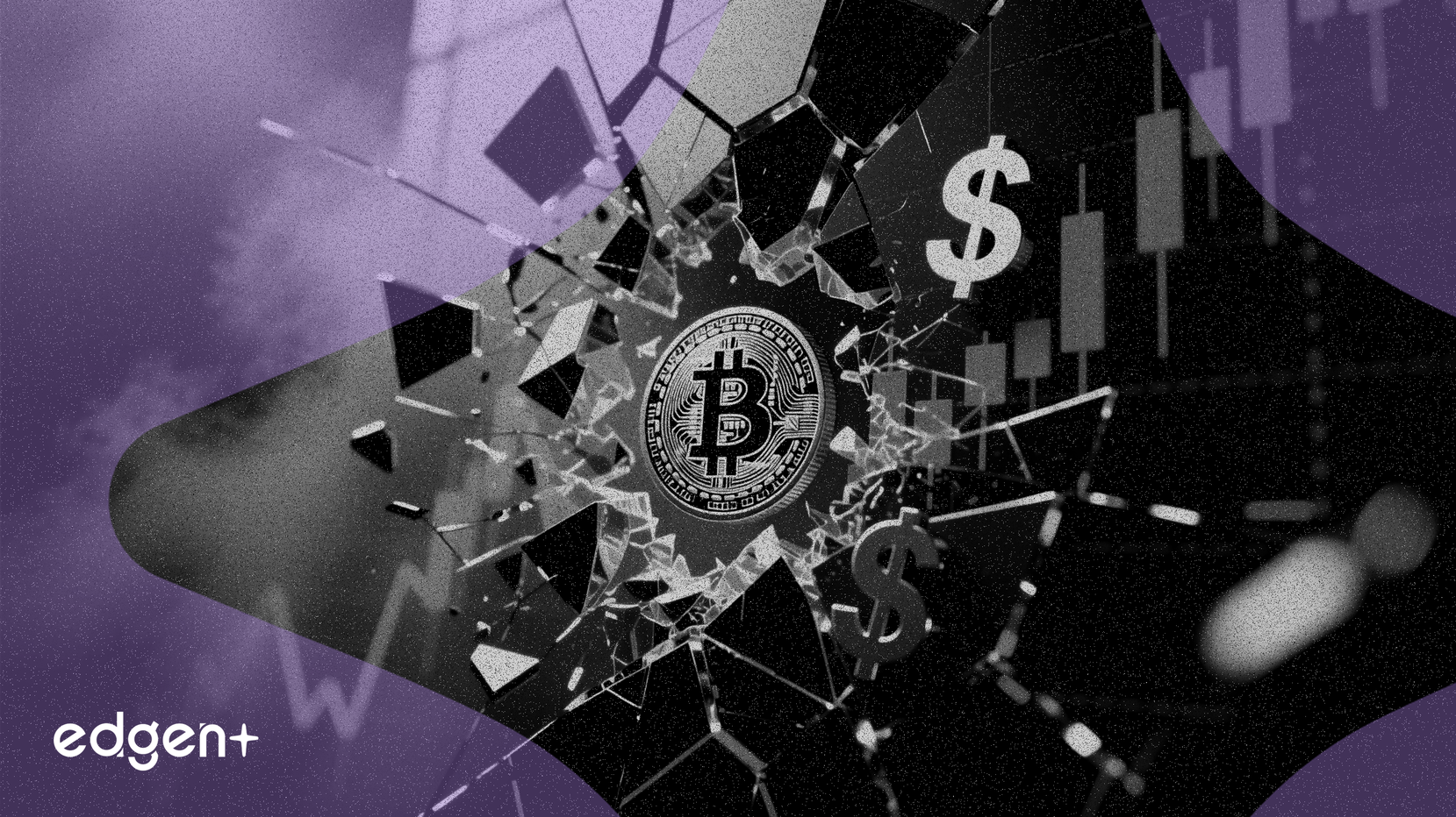 비트팜스 주가 5.58% 급락, 2.20달러에 마감