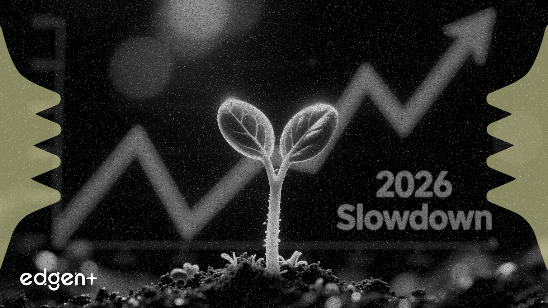 Sprouts Farmers Advierte de Desaceleración en 2026 Pese a Superar Expectativas en el 4T