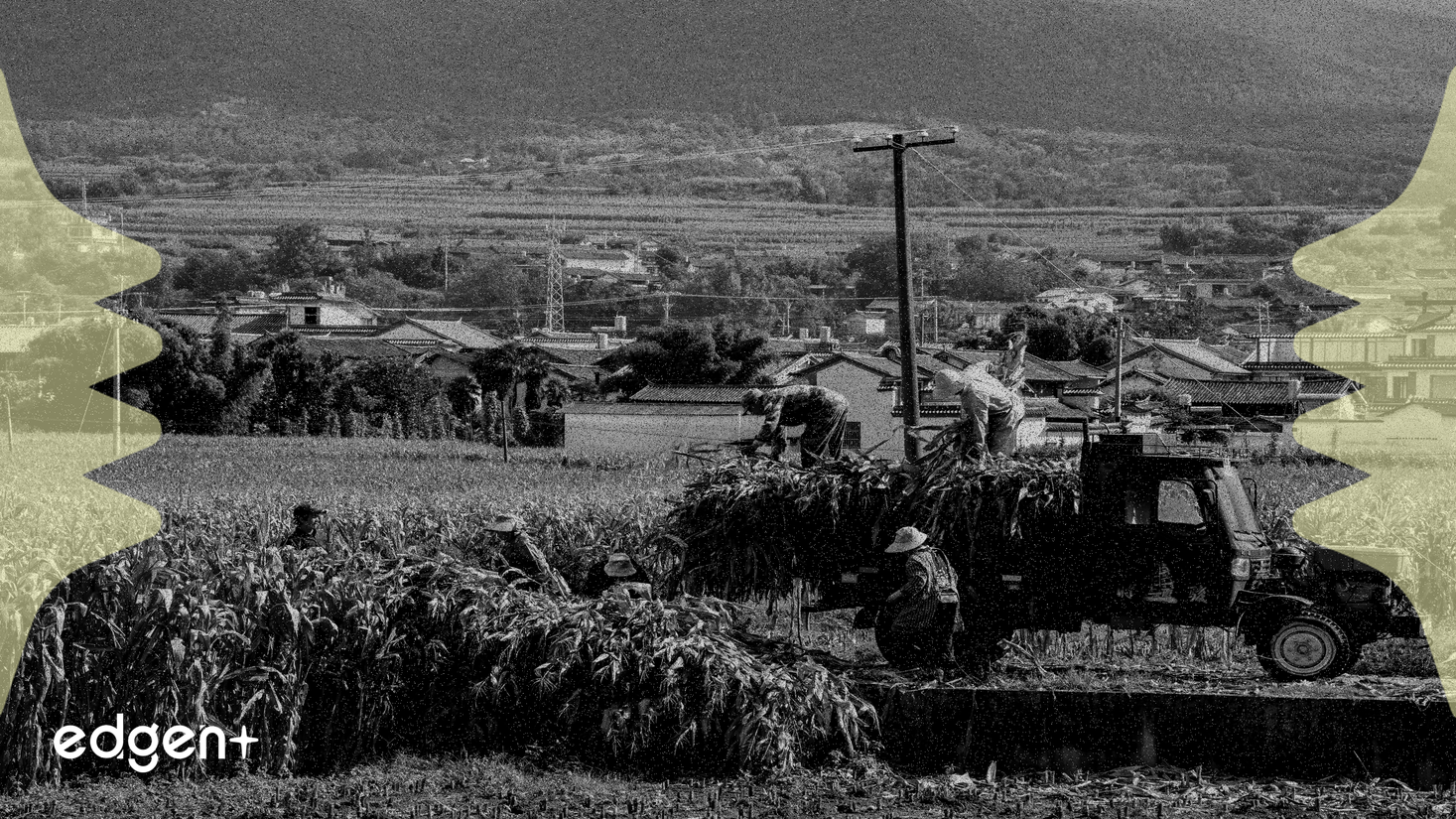 Village Farms International Price Target Rises Amid Strong Results and Share Buyback Plan