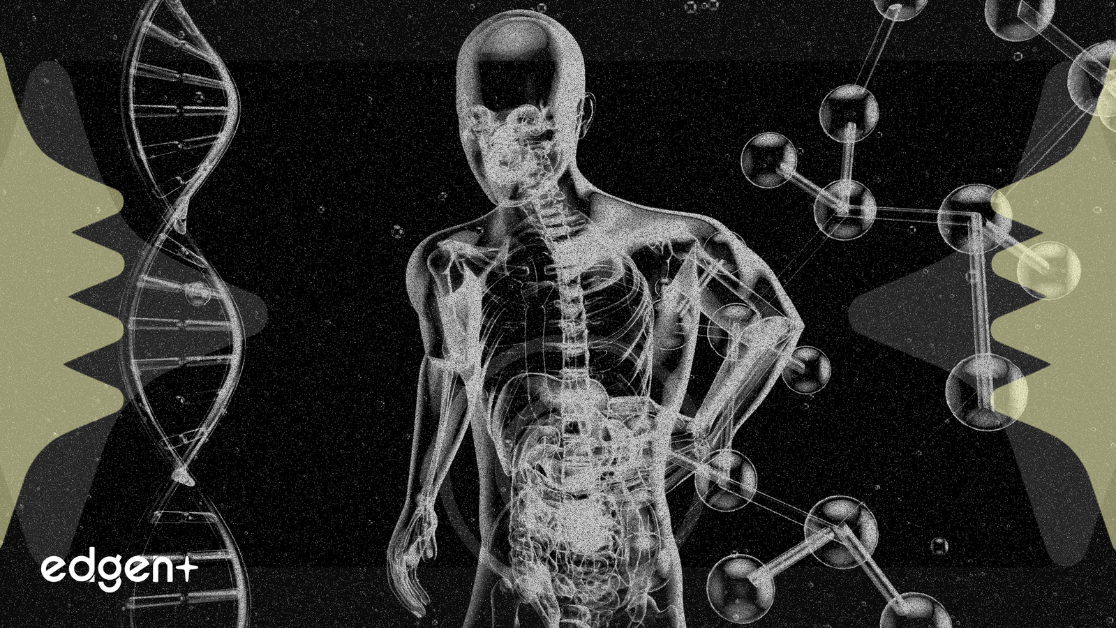 Pulse Biosciences Programa Presentación en la Conferencia de Atención Médica J.P. Morgan 2026