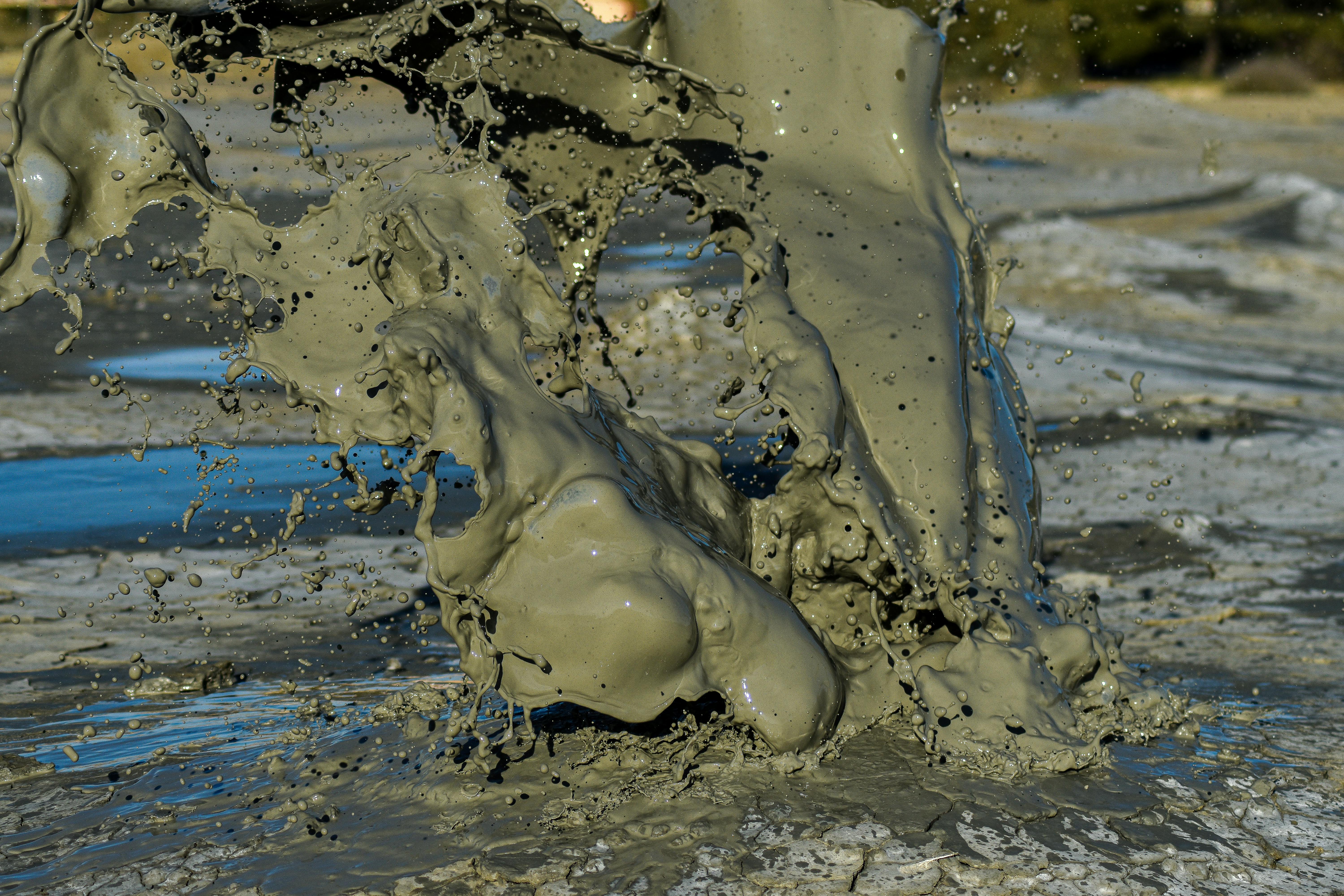 오라클, AI 및 클라우드 전략적 집중 속 공동 CEO 임명