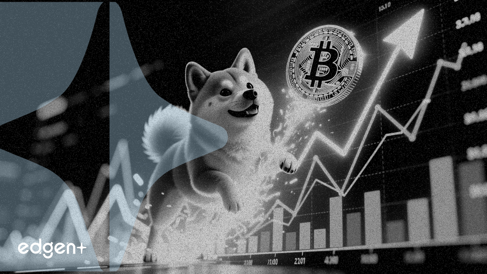 도지코인, 역사상 네 번째로 희귀한 강세 신호 깜빡여