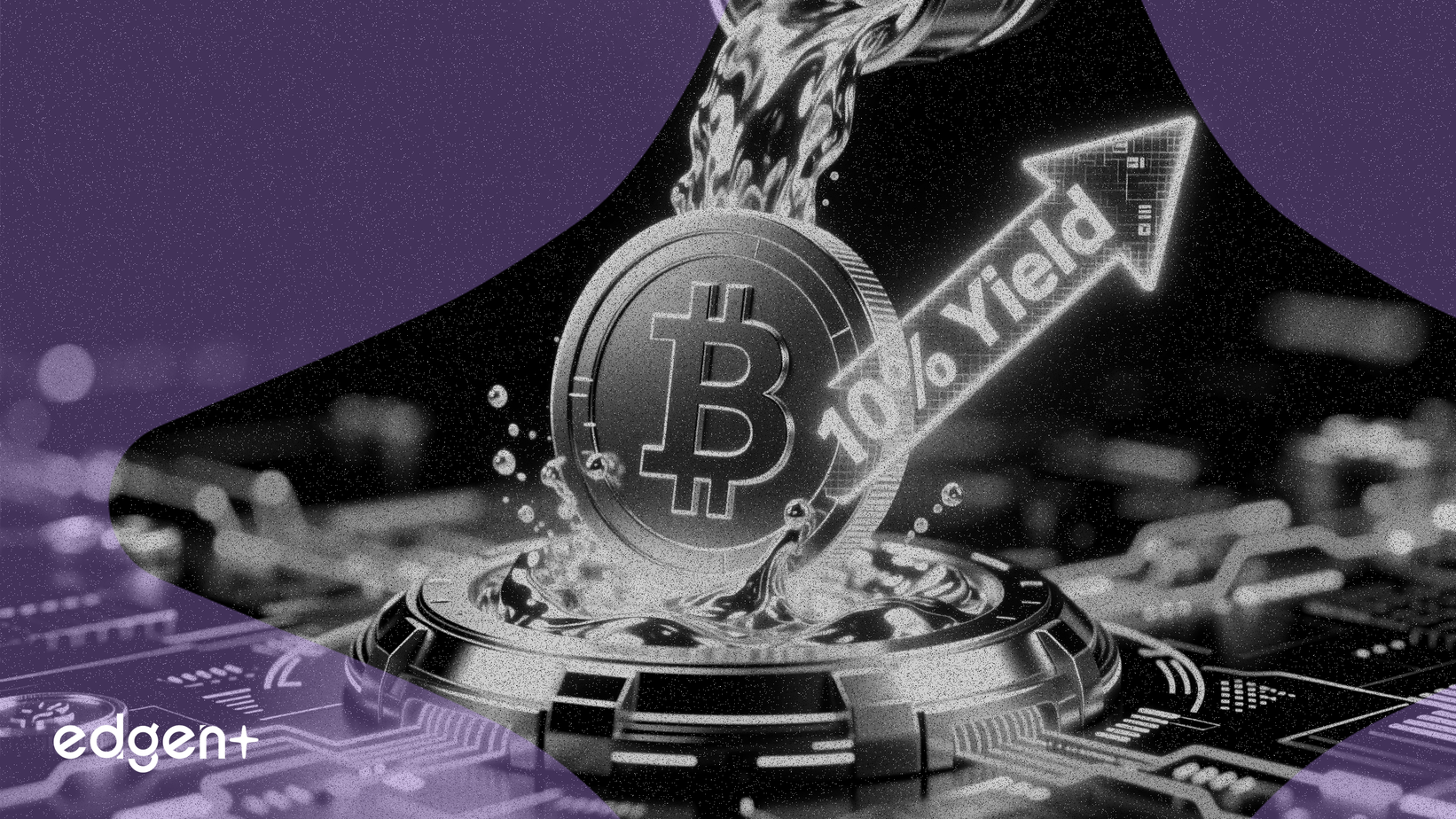 Theo huy động 100 triệu USD cho stablecoin được hỗ trợ bằng vàng, nhắm mục tiêu lợi suất 10%