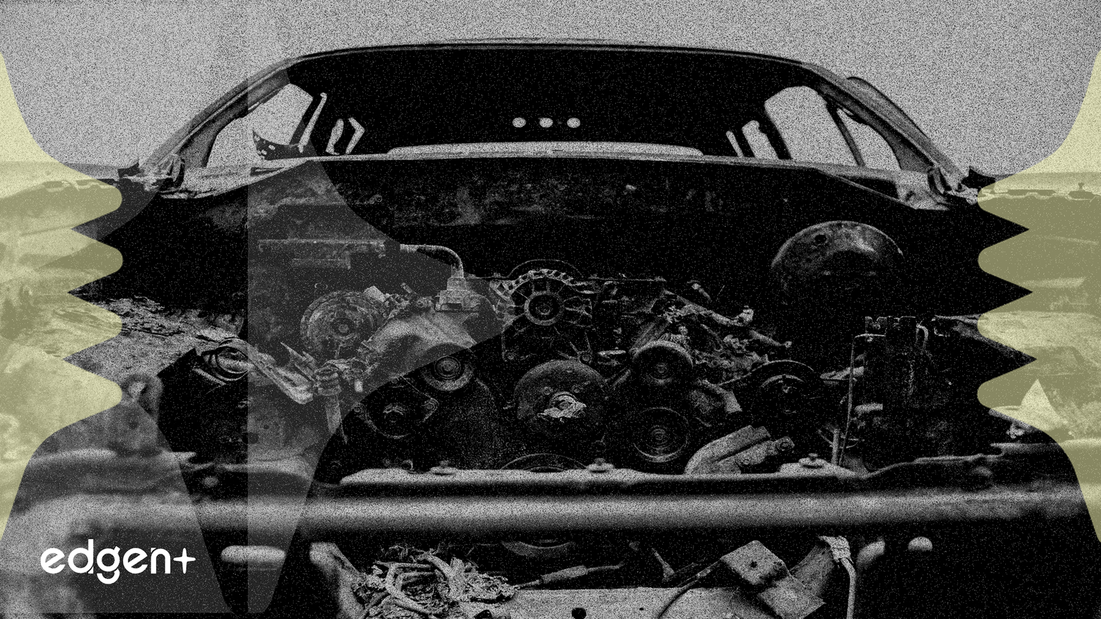 Cổ phiếu LKQ giảm 17.4% YTD, tín hiệu định giá thấp 55%