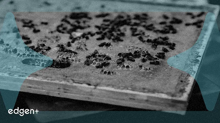 Bybit Relaunches XPL Staking with 400% APY Amid Strong Investor Demand