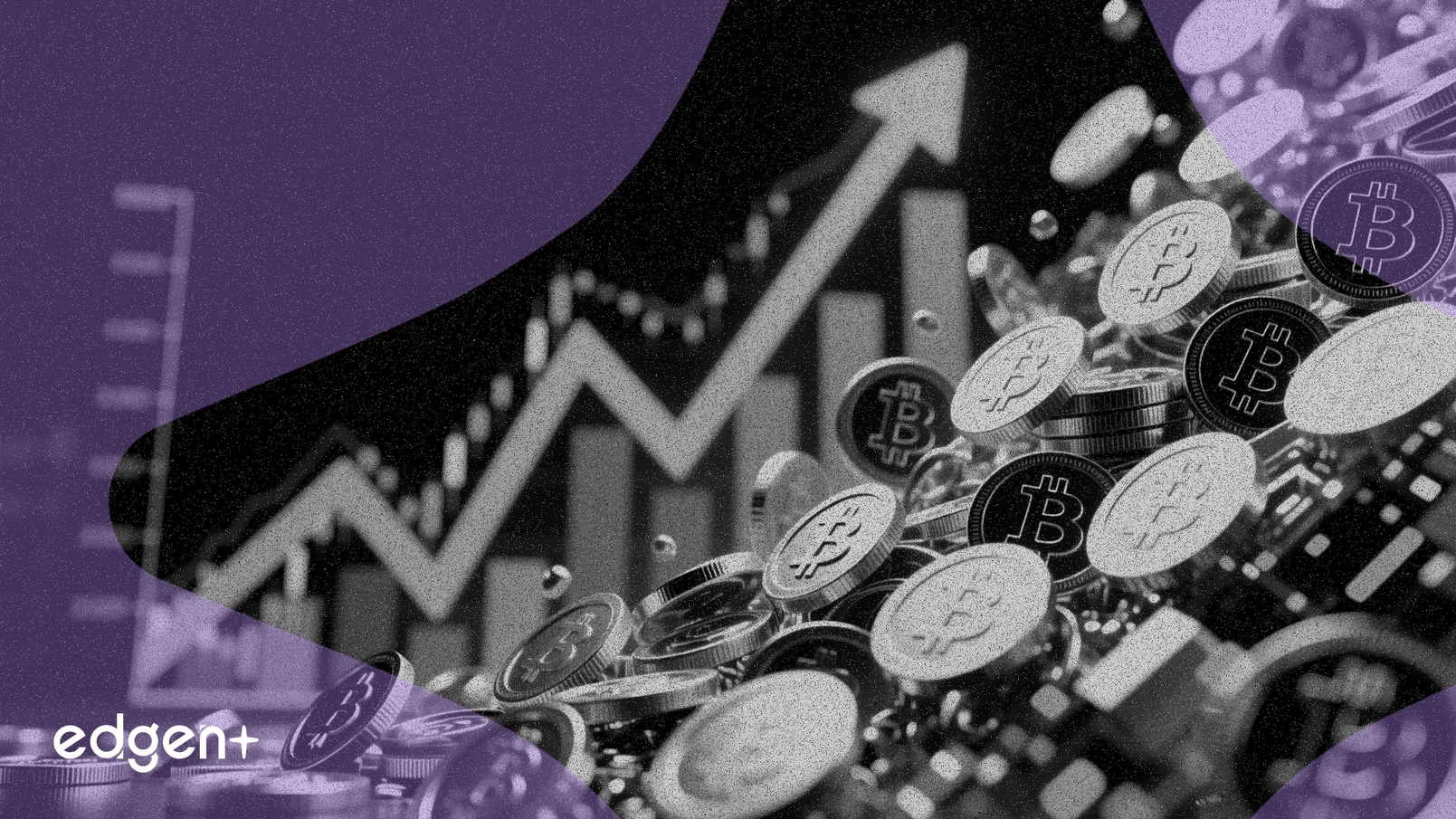 Stagwell apunta a un crecimiento del 12% y añade 350 millones de dólares a su recompra de acciones