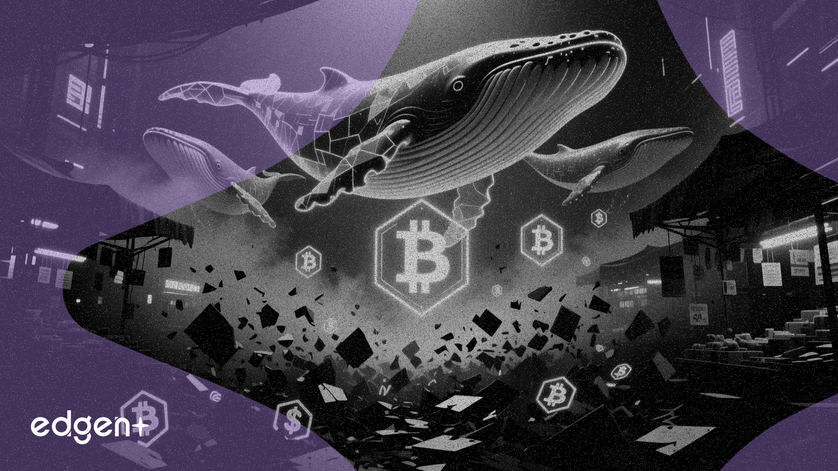 Whales Accumulate Crypto as Retail Sells Off