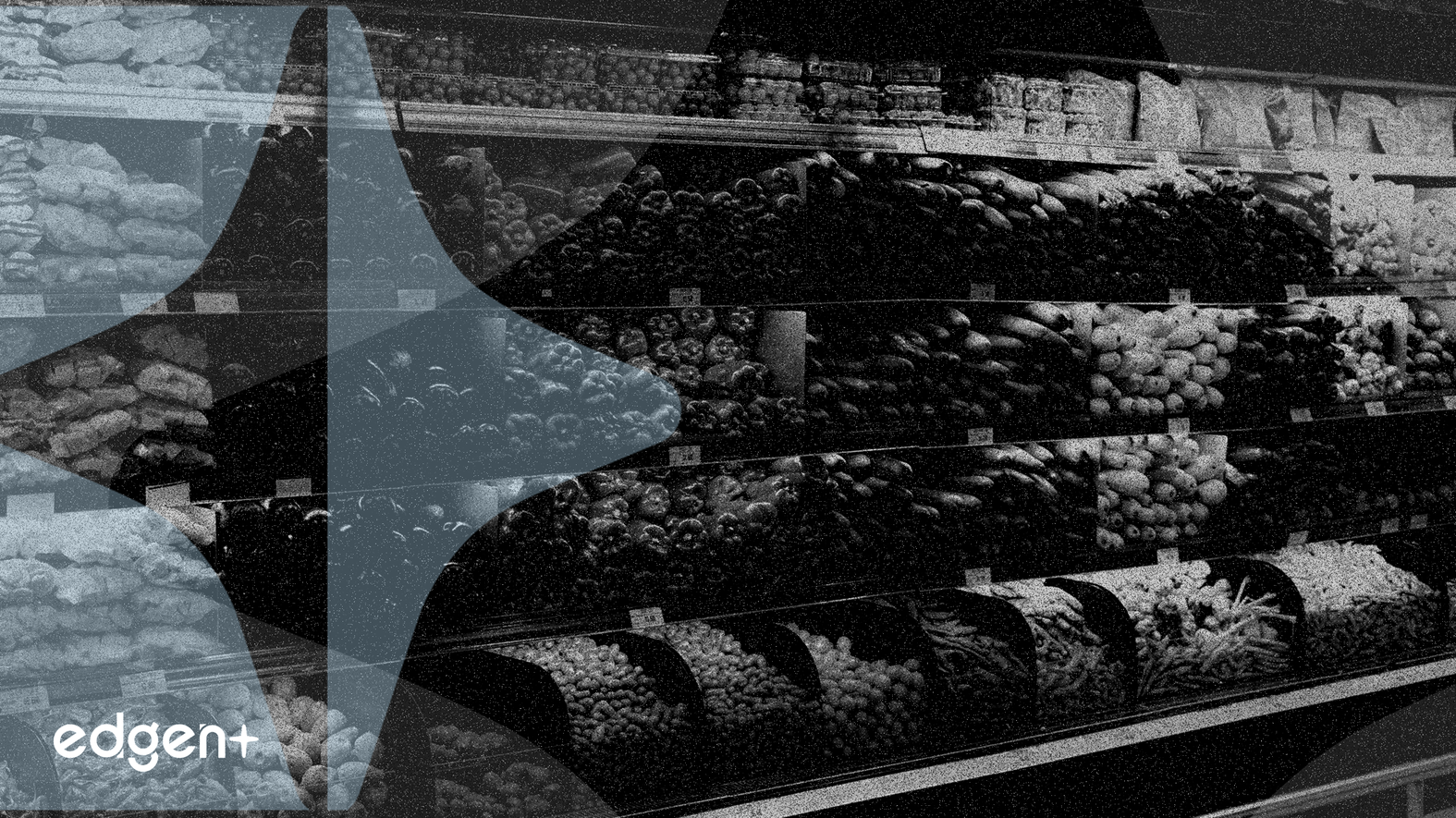 Alışveriş Yapanlar Güven ve Maliyet Nedeniyle Yerel Marketlere Yöneliyor