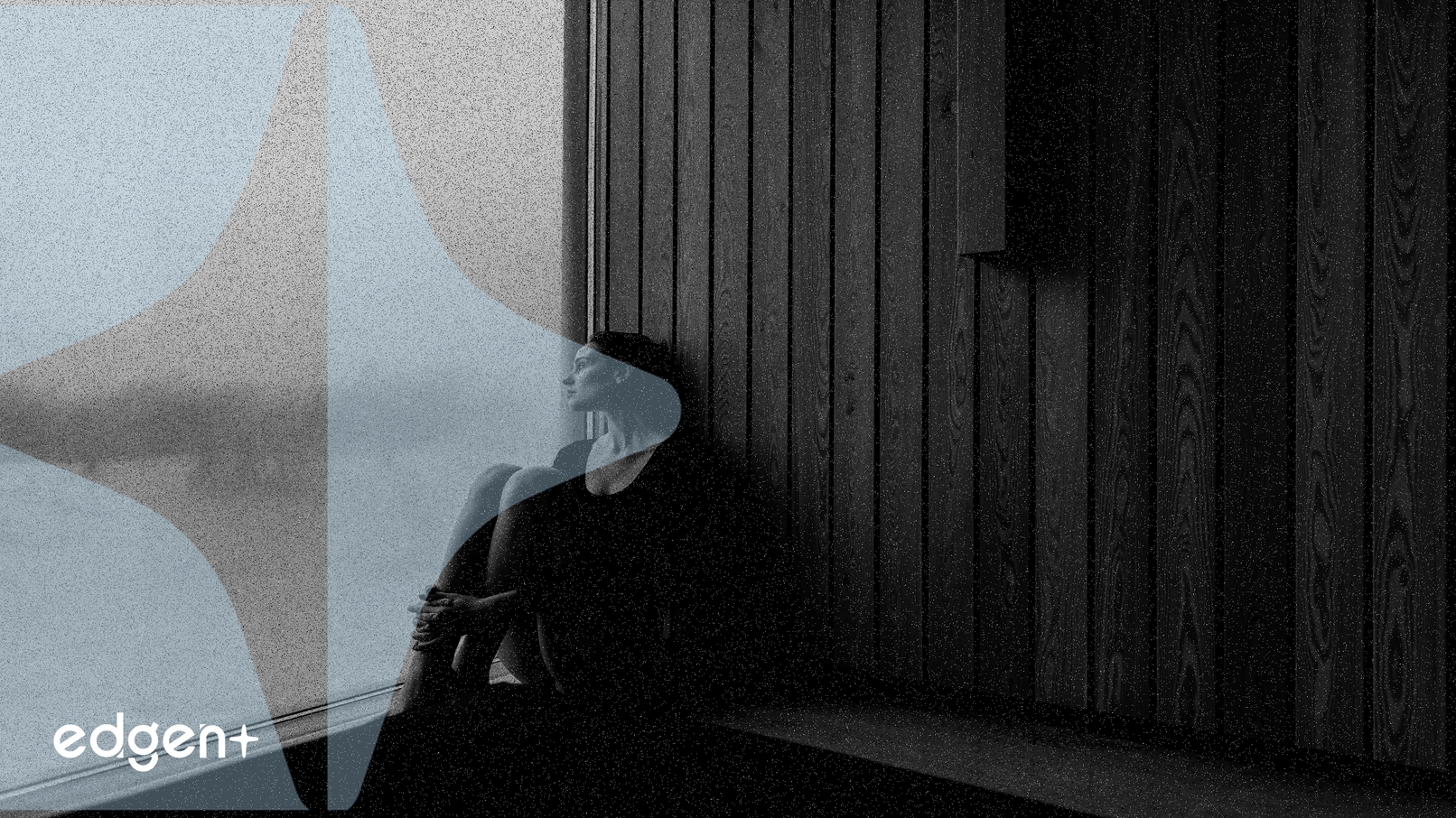 Moonbirds, Solana'da 'birb' Token Lansmanını Duyurdu, NFT Fiyat Artışını Tetikledi