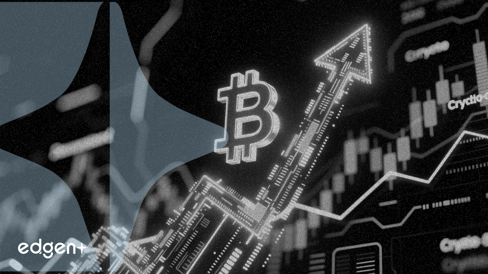 Decred Yeniden Gelen Alımlarla %11 Yükselerek 25 Dolara Çıktı