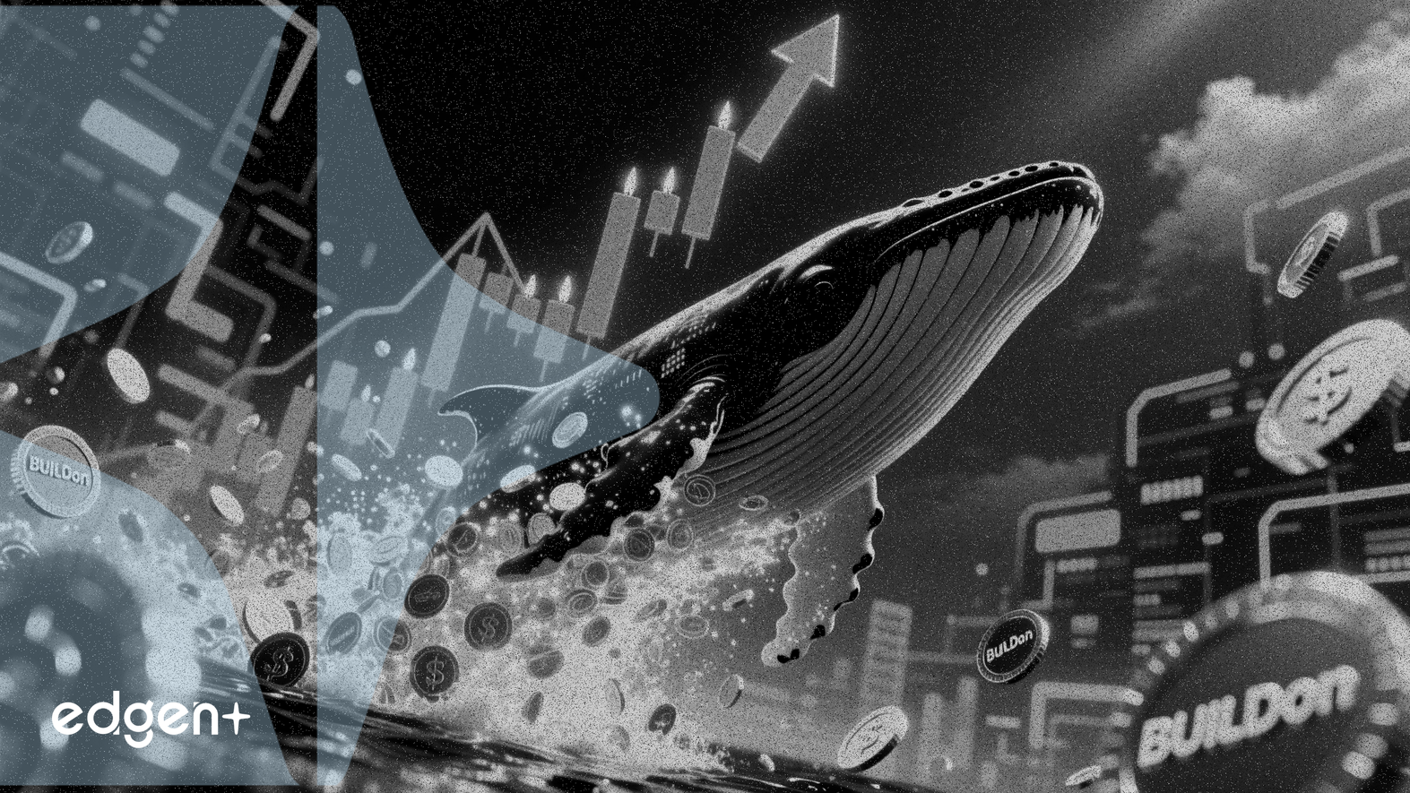 Ballena compra 2 millones de dólares en tokens BUILDon, lo que provoca un aumento del 17% en el precio