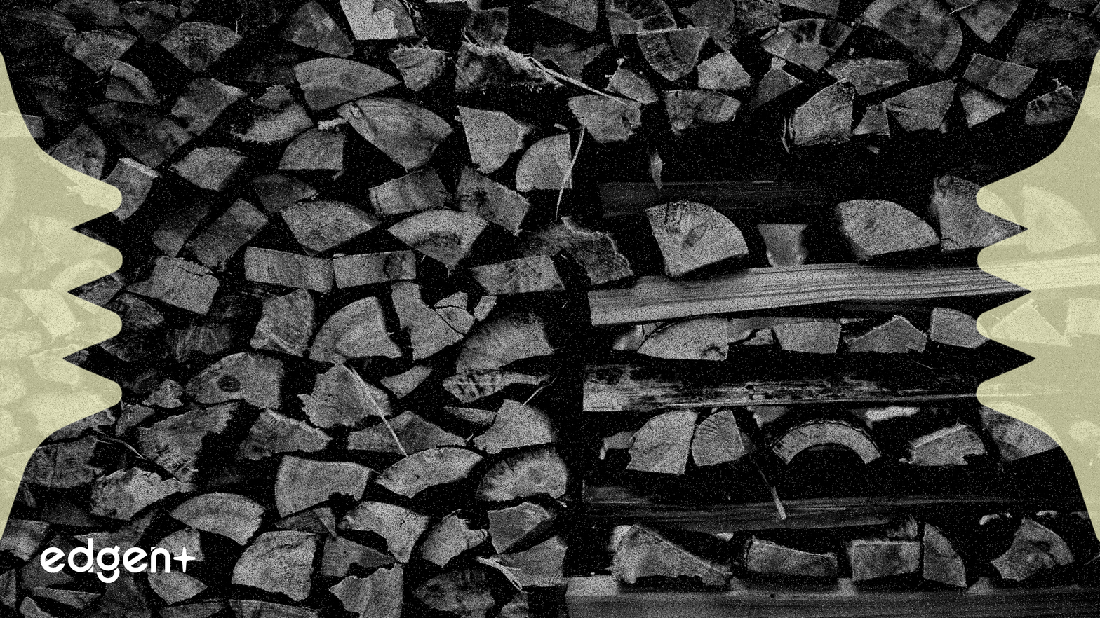 El CEO de Weyerhaeuser señala un repunte tras precios "insosteniblemente" bajos