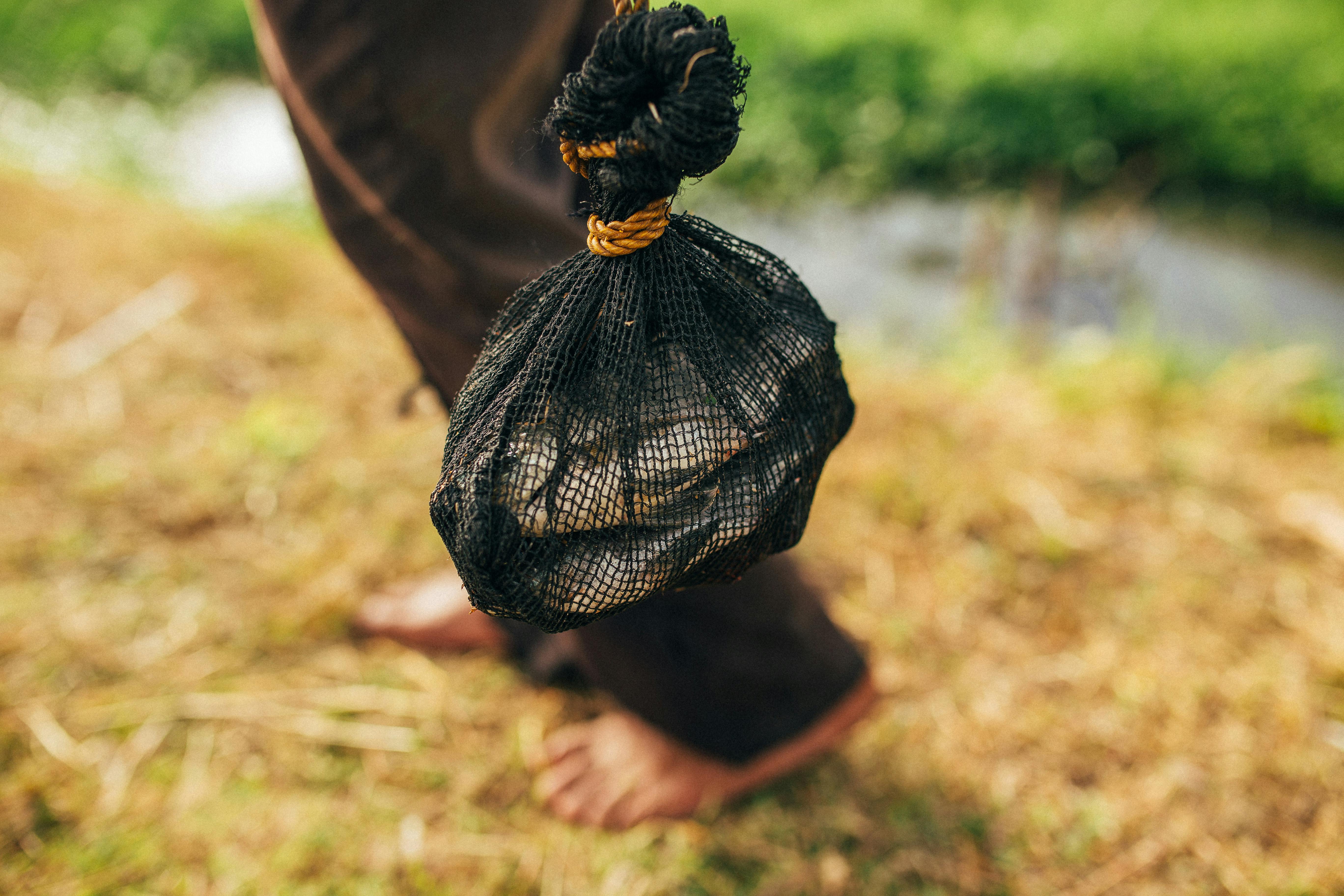 Q2 Earnings Reports Highlight Divergence in Shelf-Stable Food Sector Performance