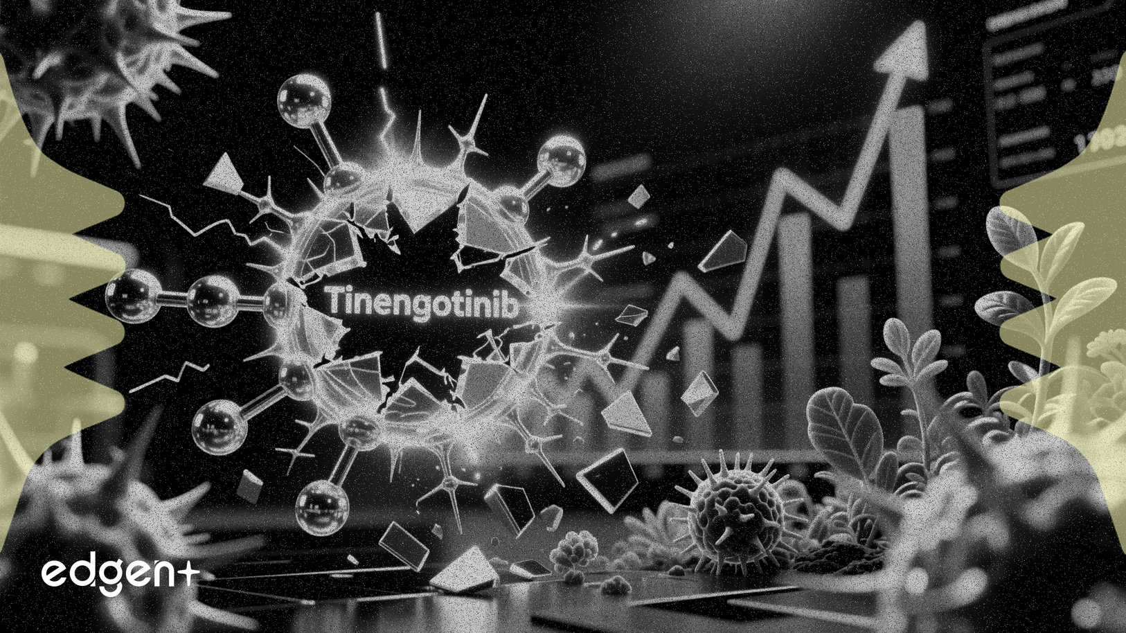和康生物B公布癌症藥物Tinengotinib積極的II期數據