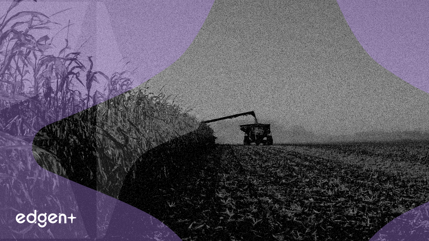 ADM réduit ses prévisions de bénéfices pour 2025 à 3,25-3,50 $ en raison de retards politiques