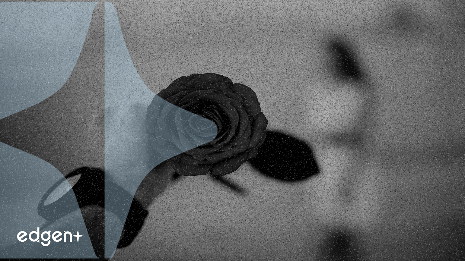 MetaDAO Considers Minting Up To 2 Million META Tokens for Treasury Funding