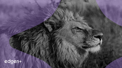 TRON consolide sa domination sur les stablecoins au milieu de la navigation réglementaire et de l'expansion stratégique