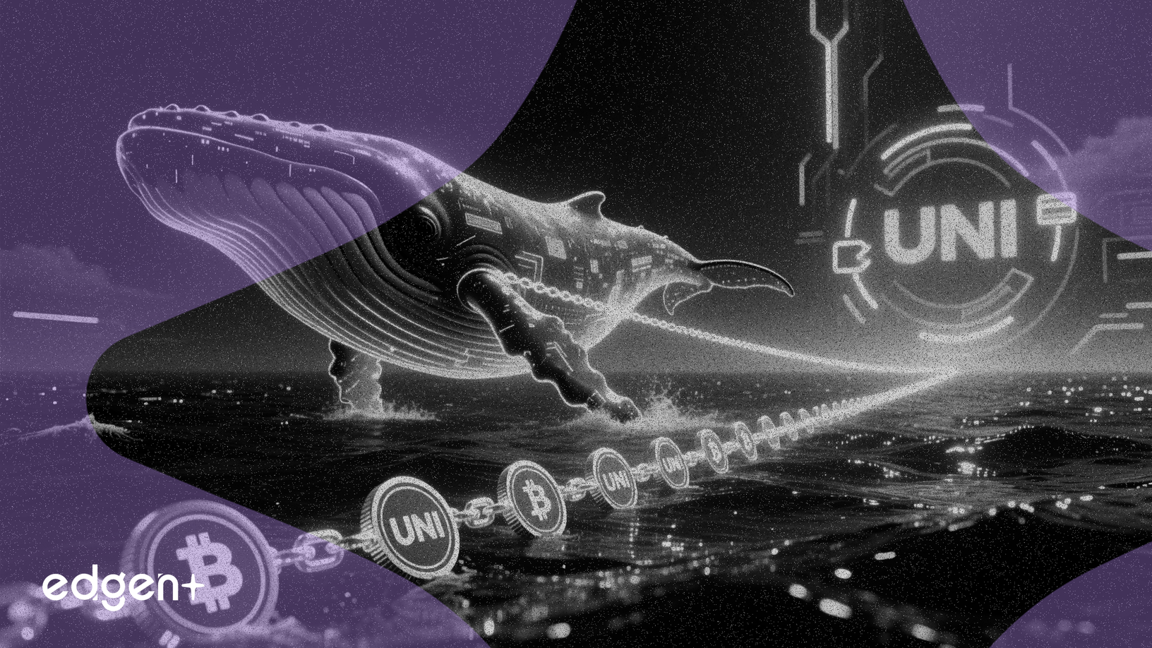 Whale Withdraws $4.7M in UNI Tokens From Exchanges