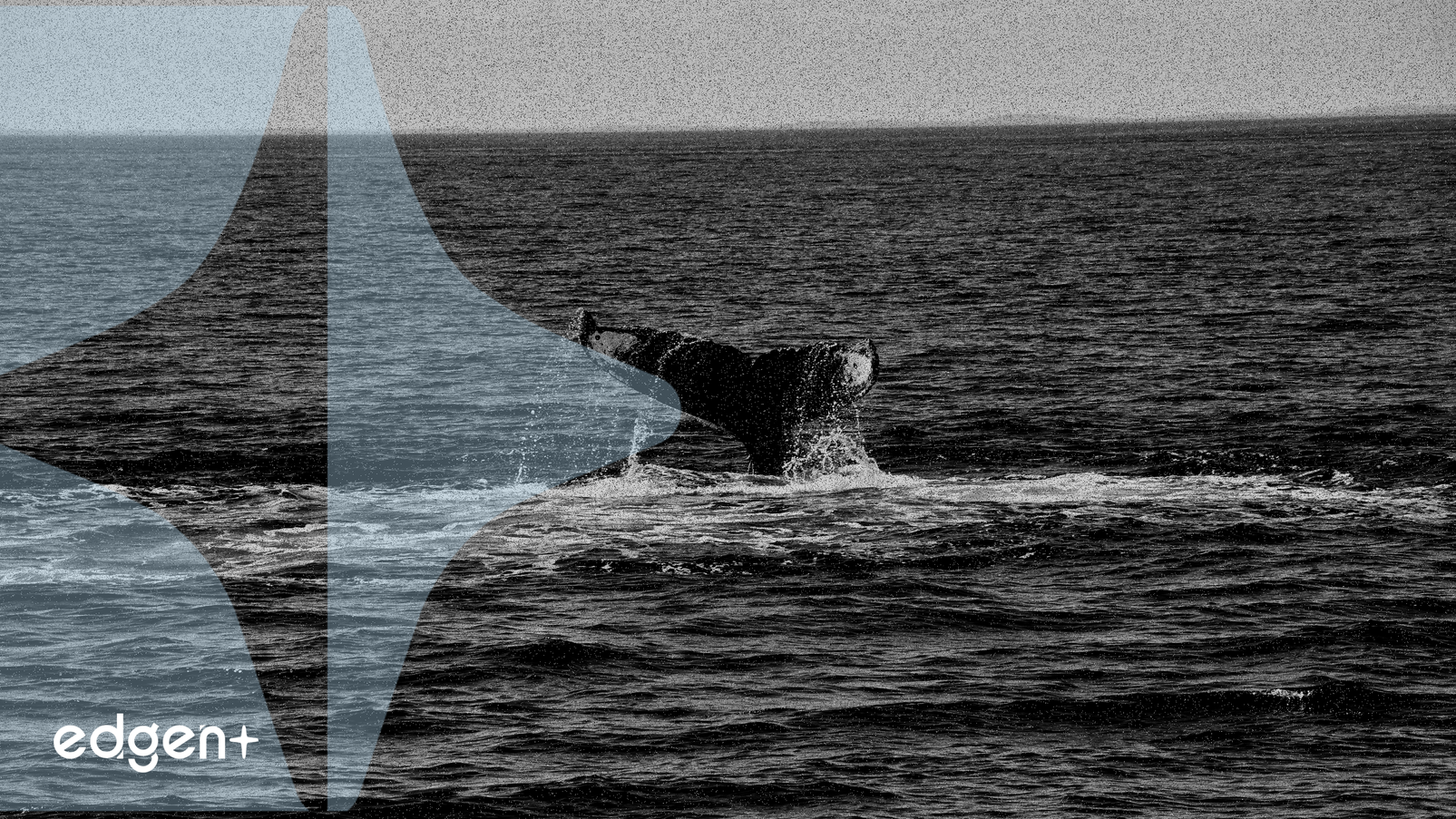 Büyük AAVE Sahibi 19.89 Milyon Dolarlık Token Sattı, Piyasa İncelemesini Tetikledi