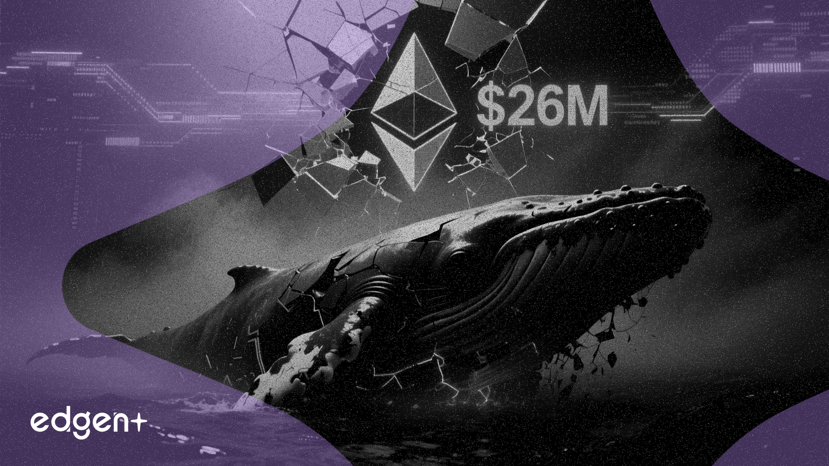 ETH Balinasının Bahsi Ters Gitti: Toplam Kayıp 26 Milyon Dolar