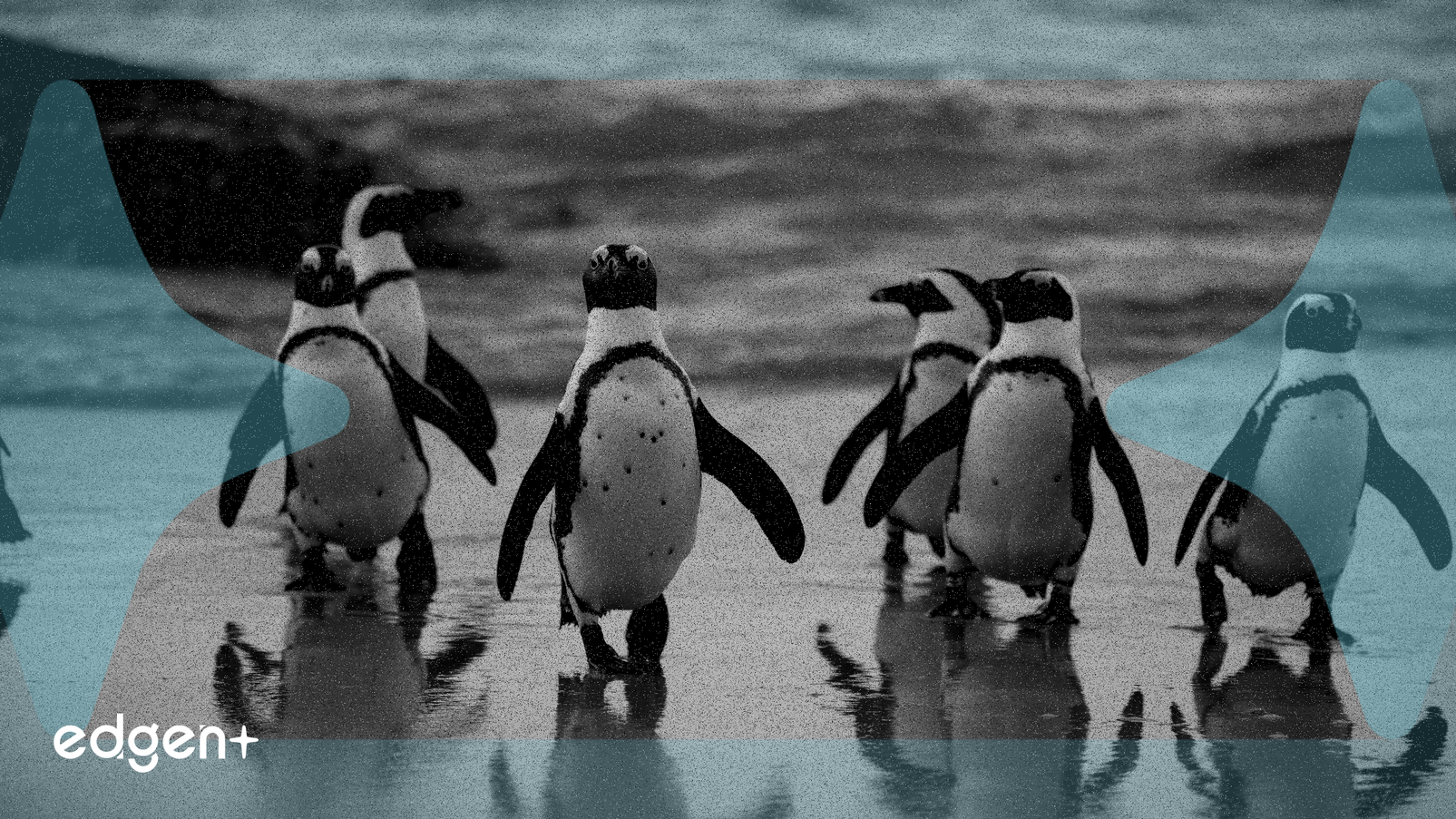 Kripto Para Piyasasında Geniş Çaplı Ralli, PUMP ve ZEC Öncülüğünde İlk 100 Token Yükselişte