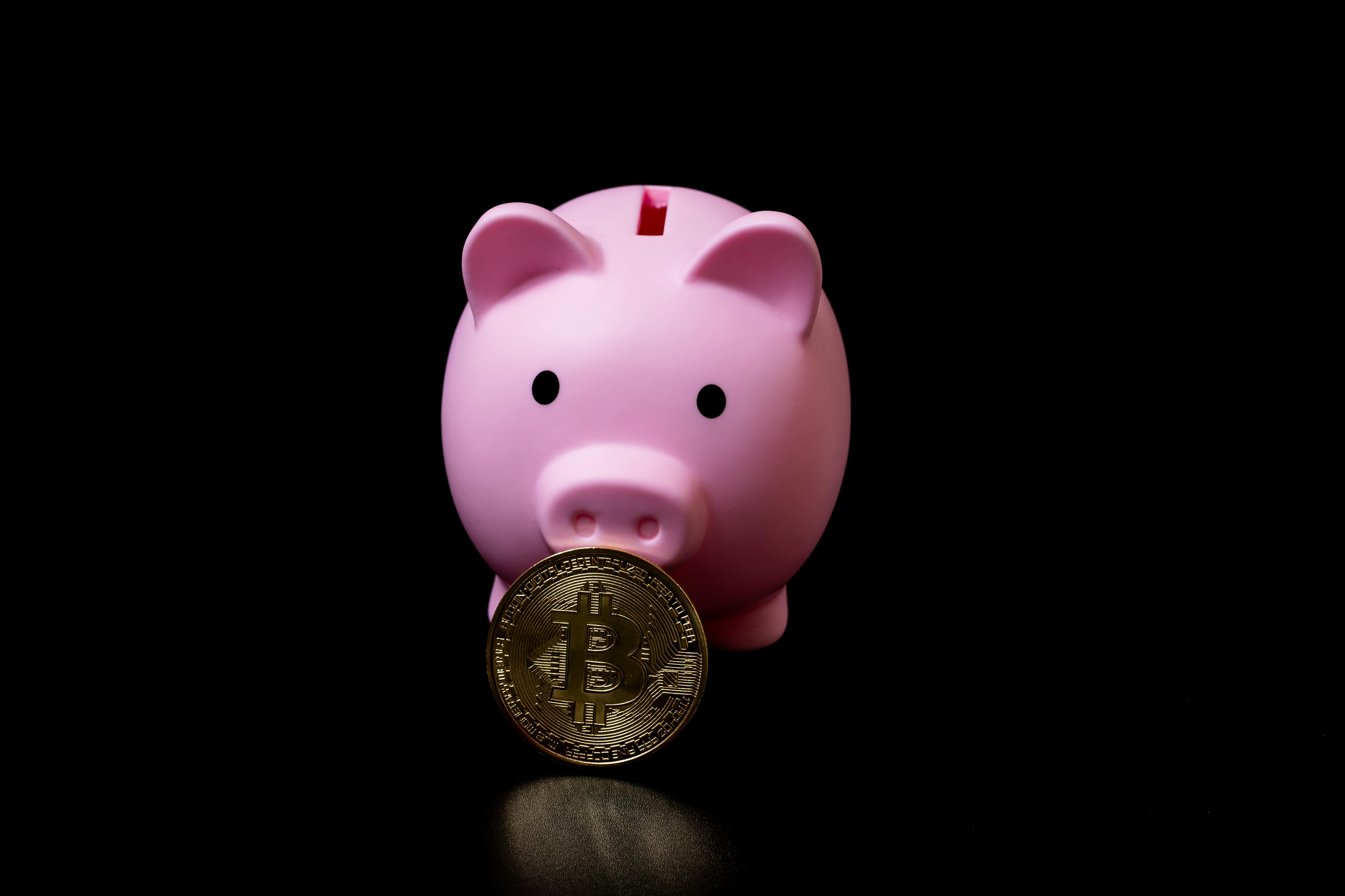 Shibarium Network Reports $4 Million Cryptocurrency Theft, Offers Bounty for Return