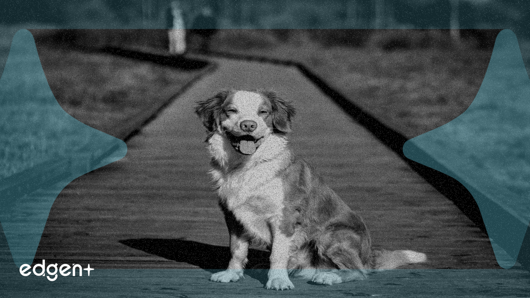 阿斯特捷利康準備在ESMO大會上公佈大量腫瘤臨床試驗數據