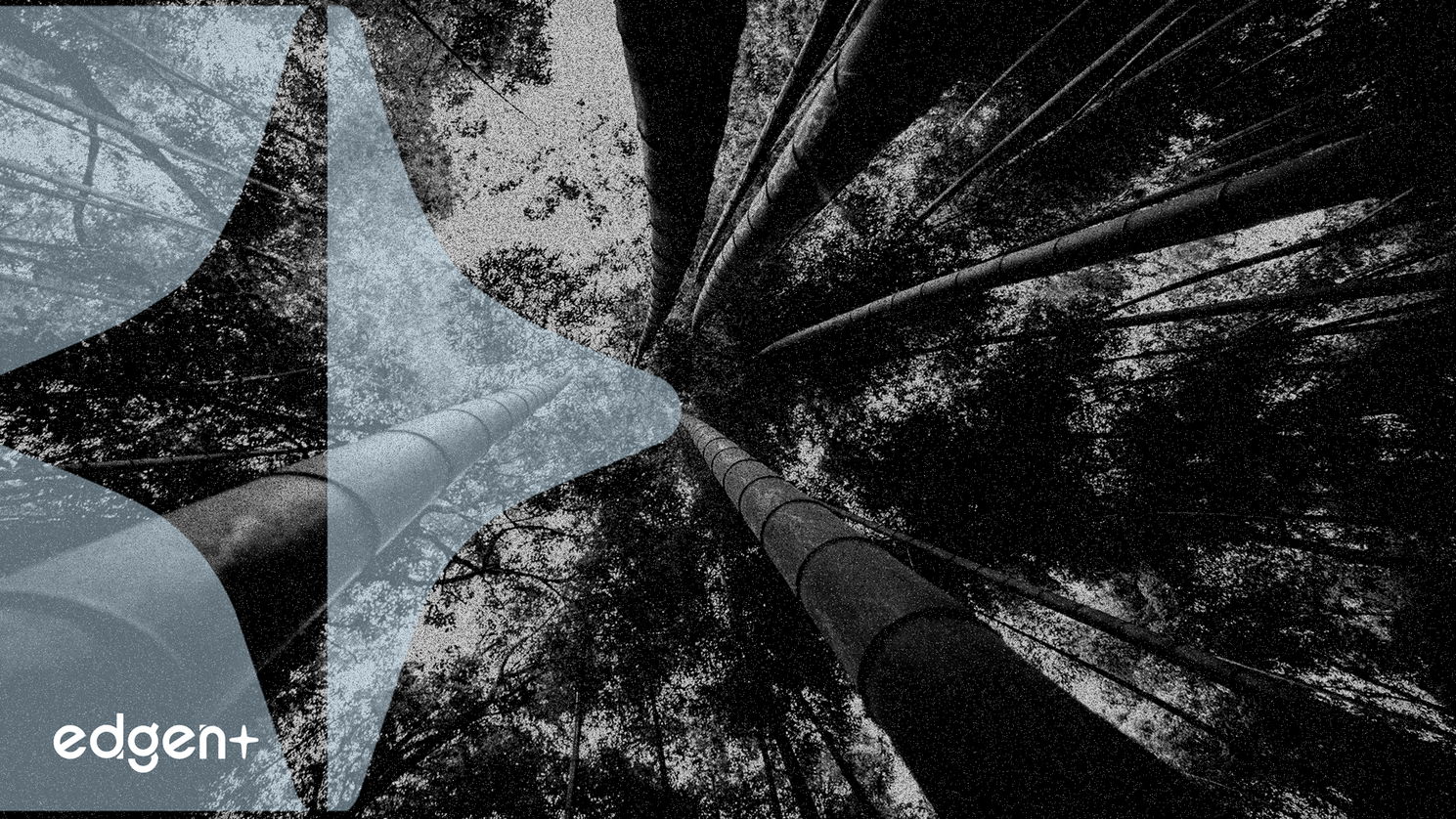 惠好与Aymium成立合资企业，进军生物碳市场