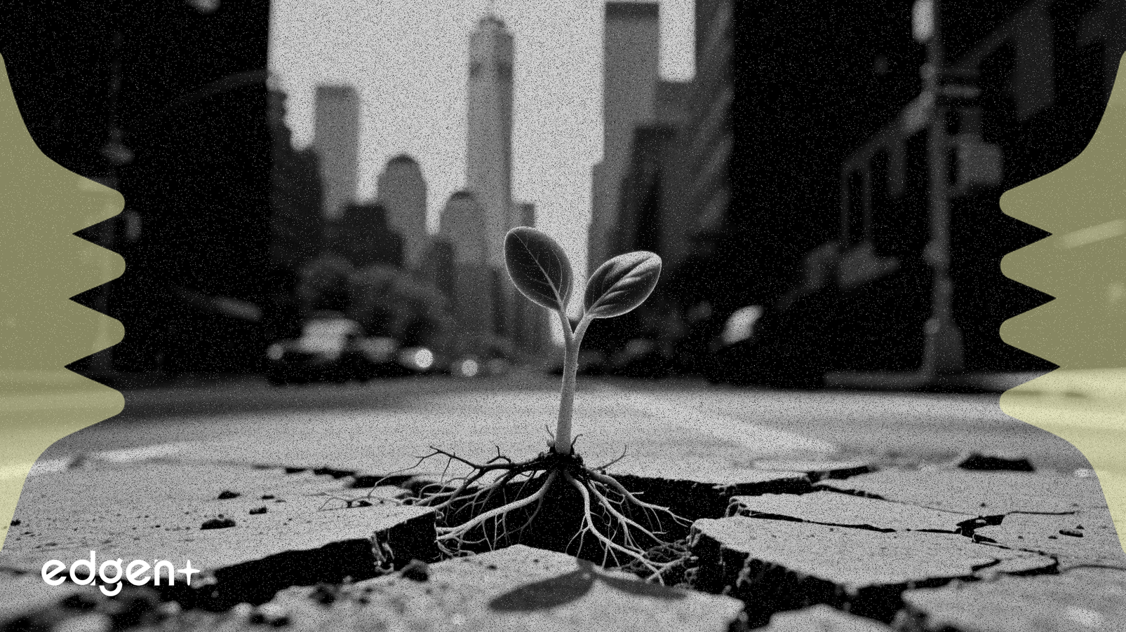 Sprouts, Genişleme Modelini Test Etmek İçin New York Pazarına Giriyor