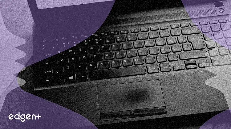 El gobierno sueco desafía a las plataformas de comercio electrónico por listados de productos ilegales