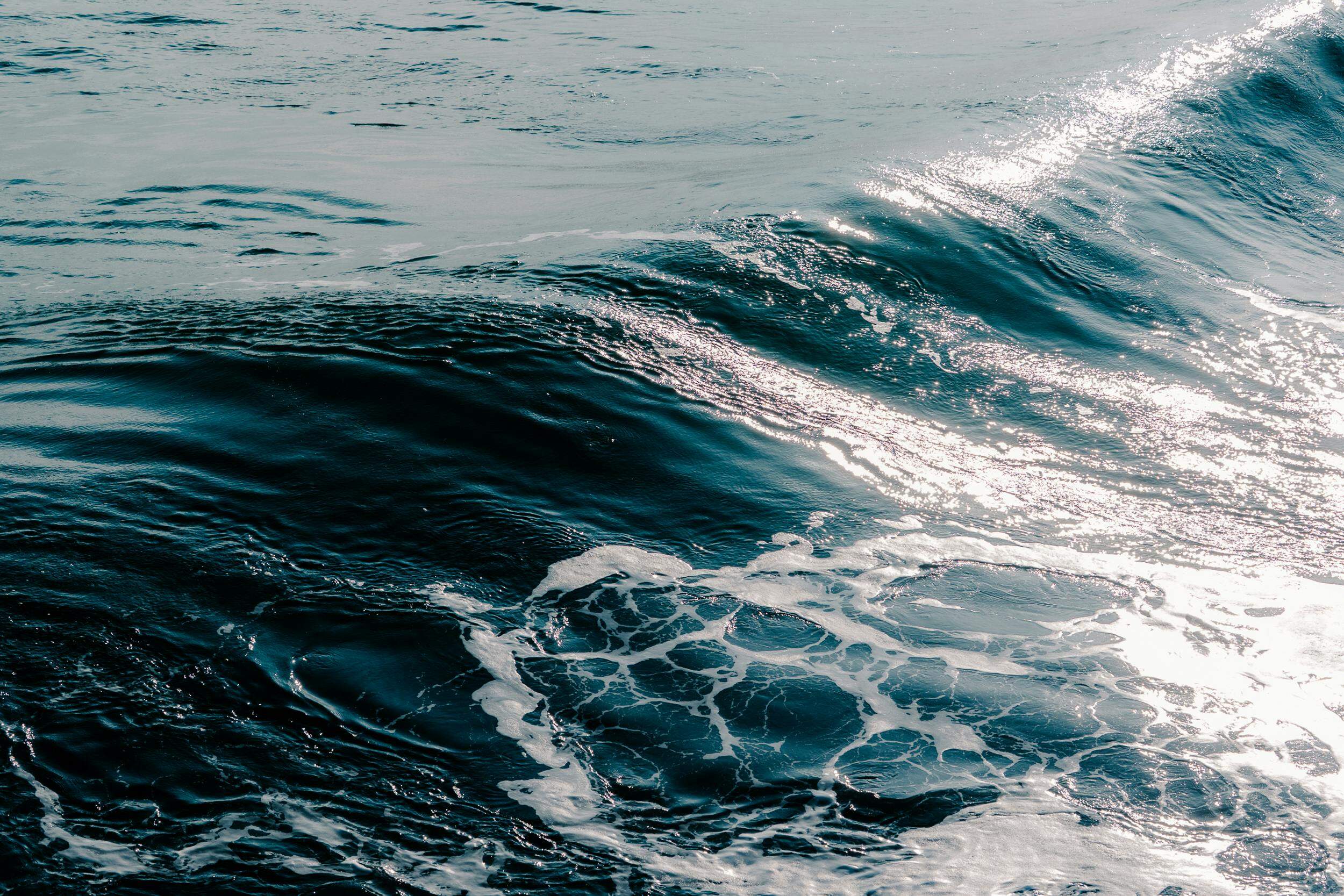 El Salvador Increases Bitcoin Holdings Amidst IMF Scrutiny