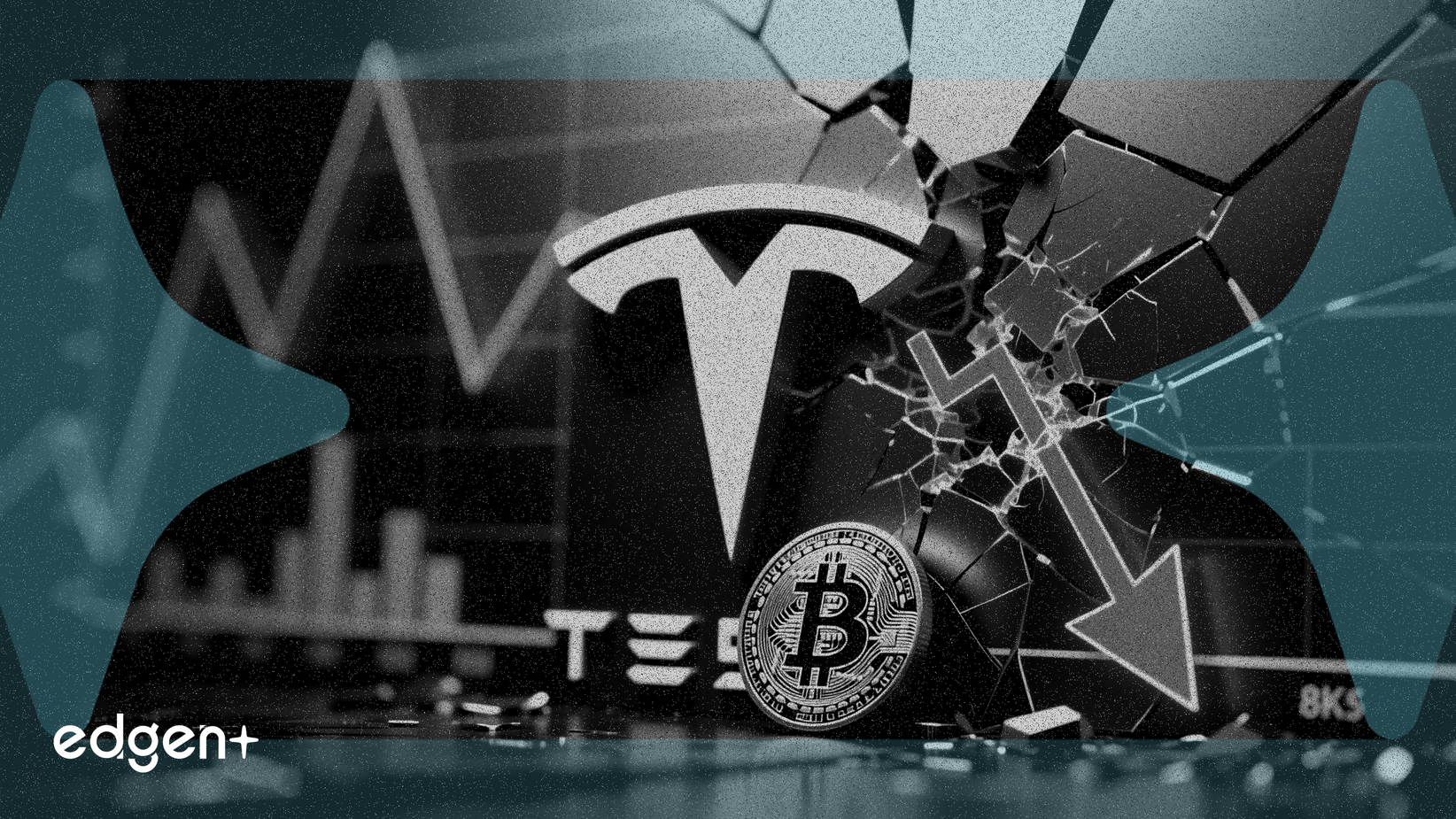 Tesla asume 239 millones de dólares en pérdidas por Bitcoin y se niega a vender