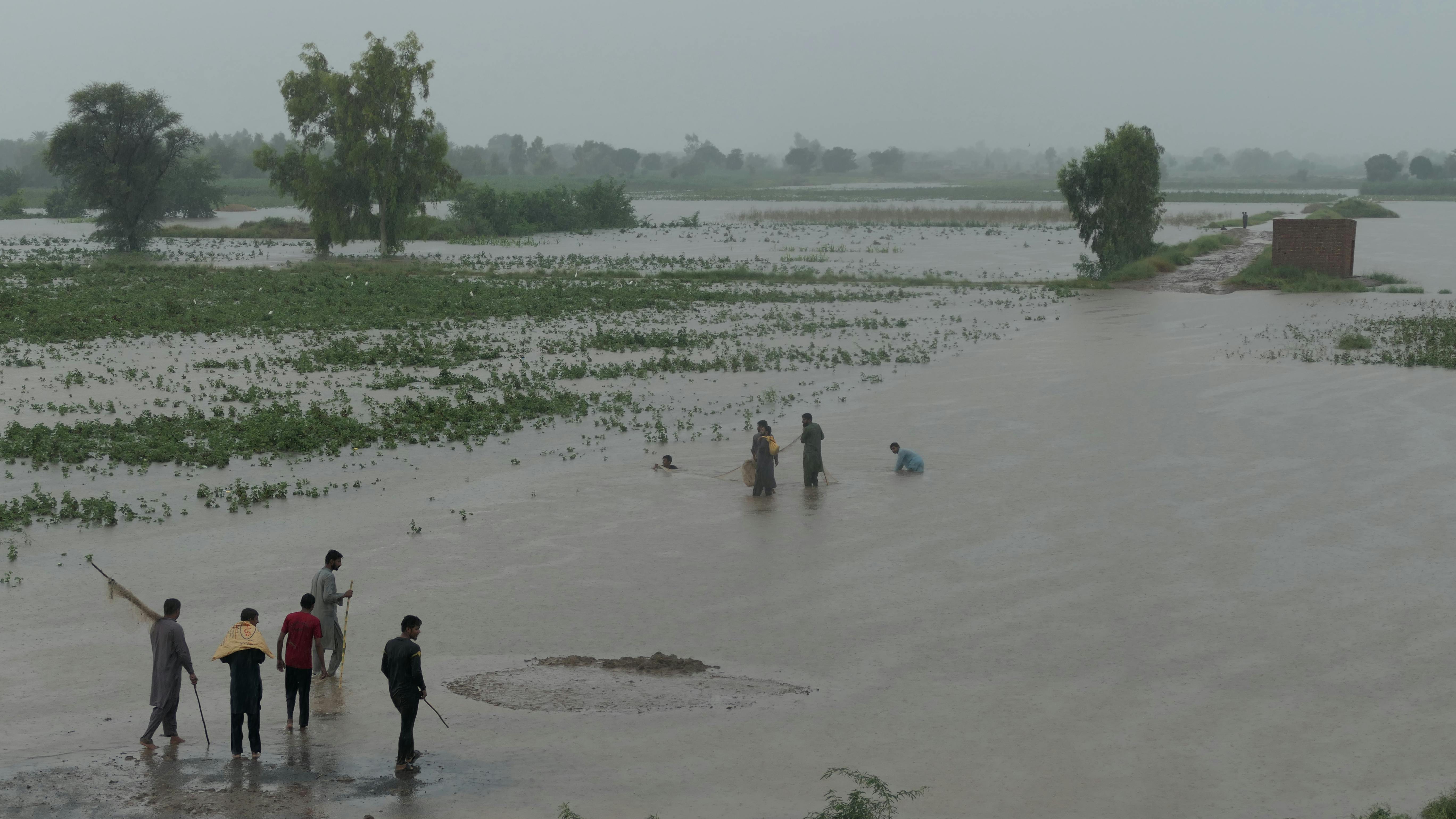 CFO 사임 및 거버넌스 우려 속 PACS 그룹 주가 급락